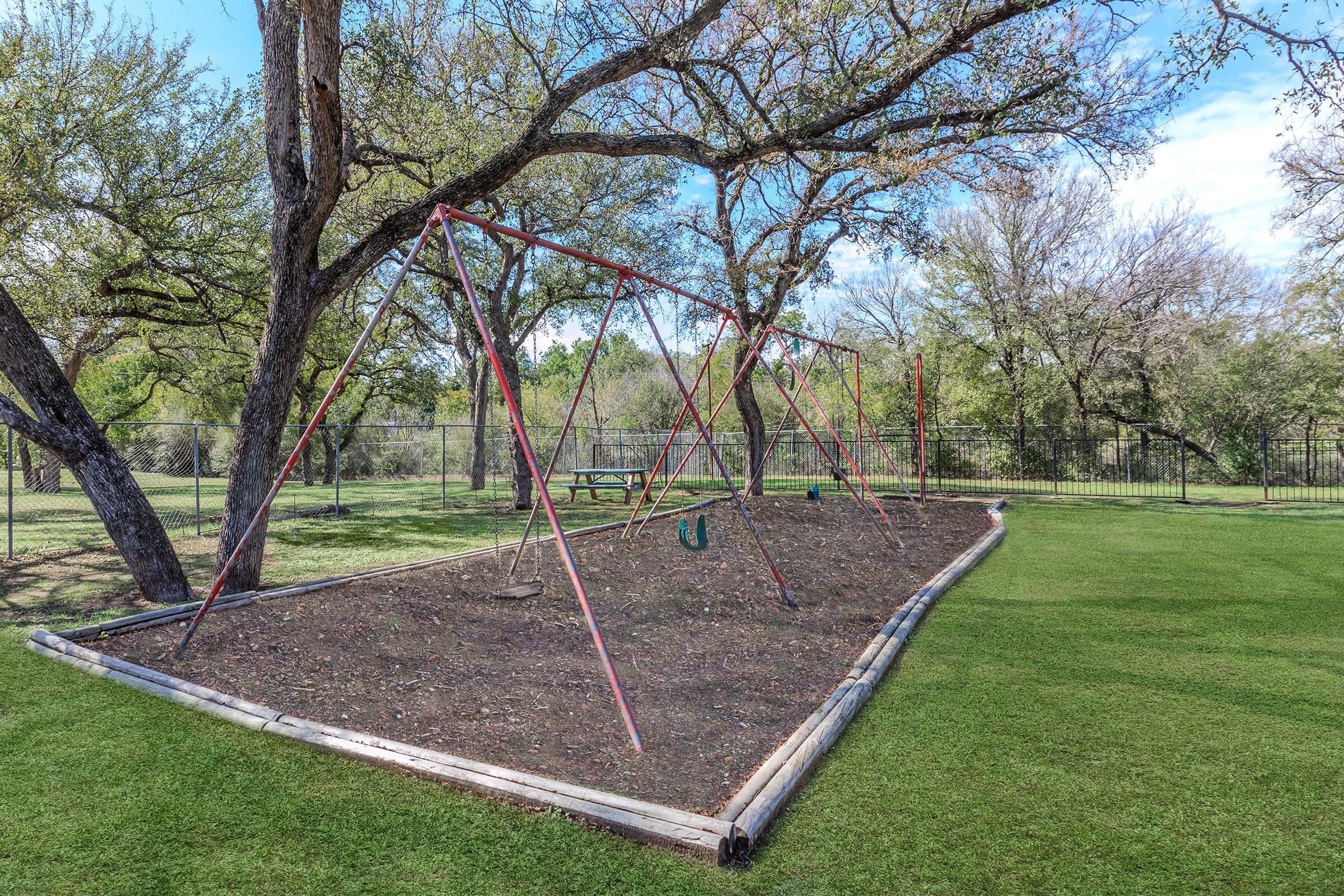 a tree in a park