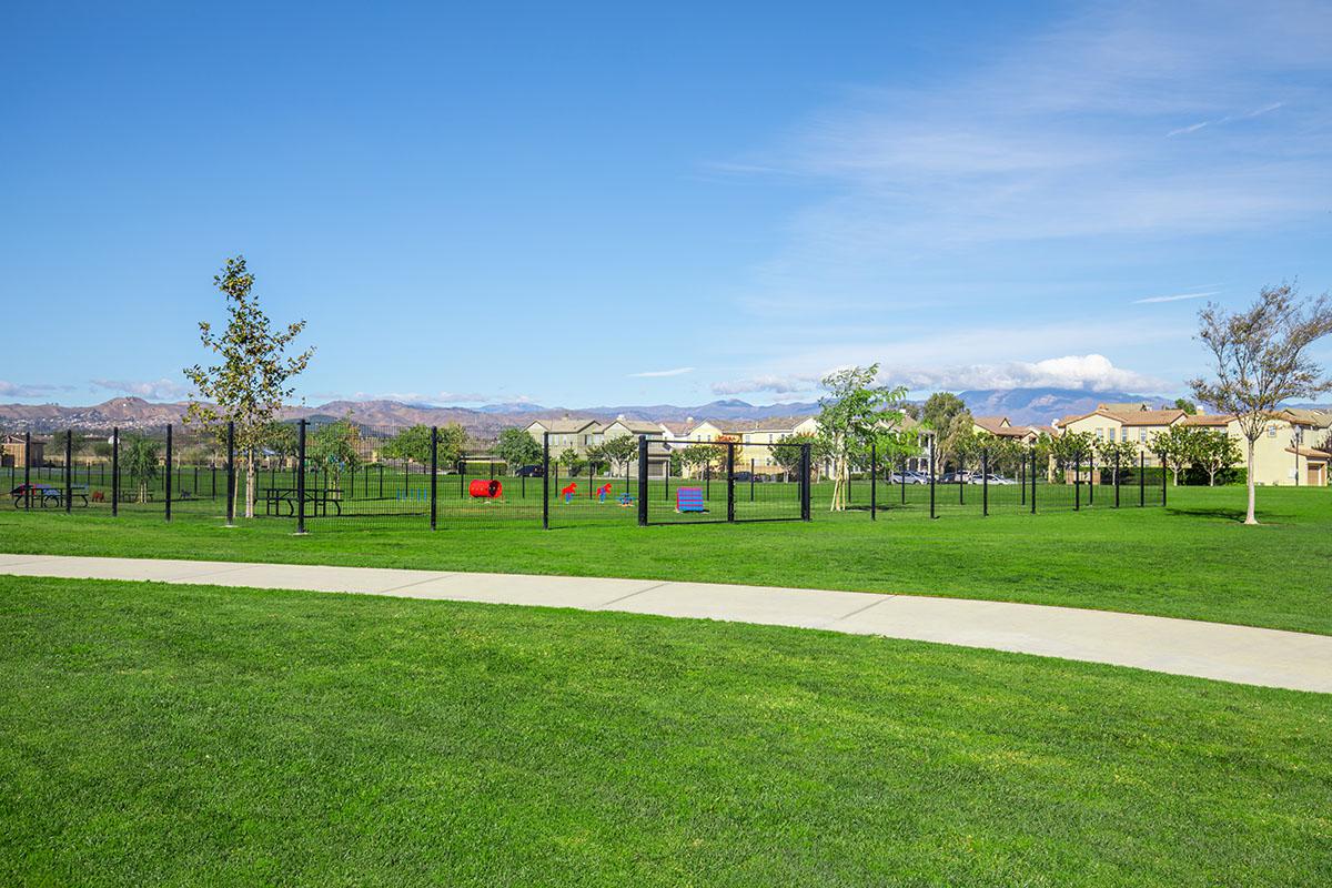 a large green field with trees in the background