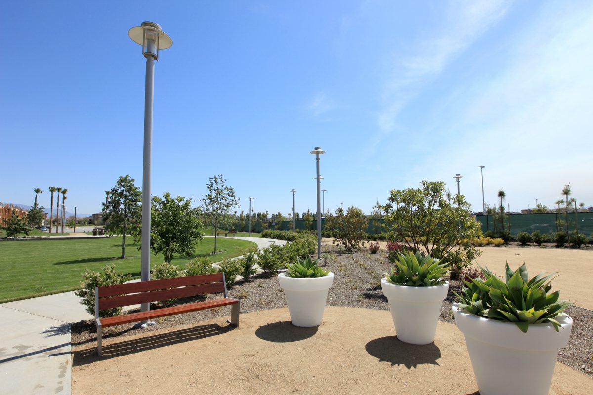 a person sitting in a garden