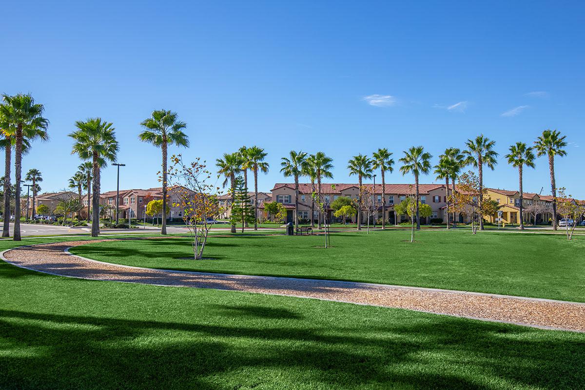 a large green field with trees in the background