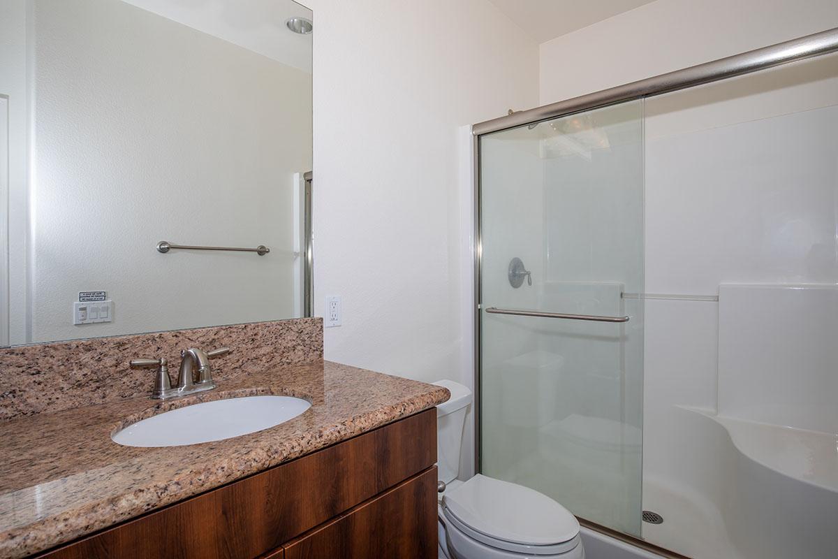 a shower that has a sink and a mirror