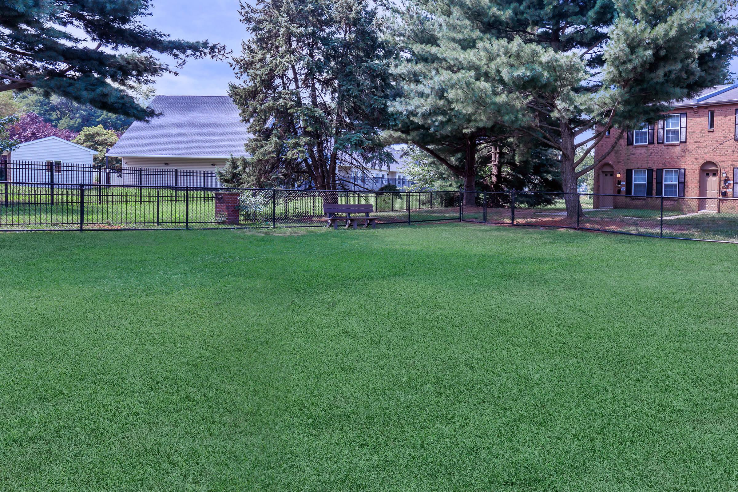 20190807-6504.jpg
