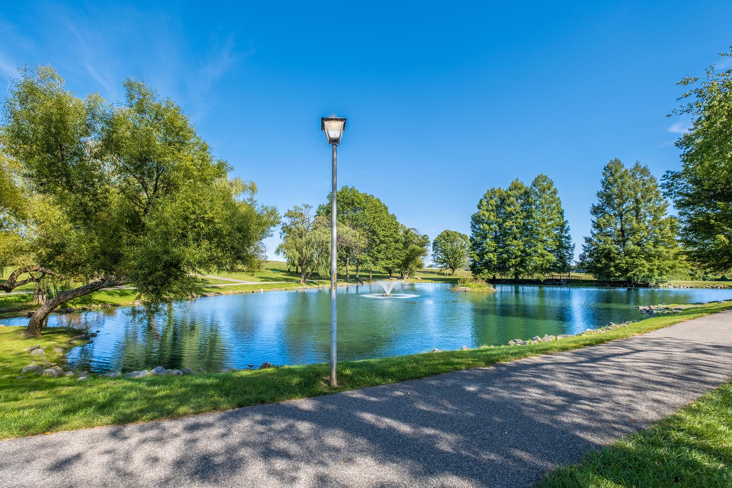 a body of water surrounded by trees