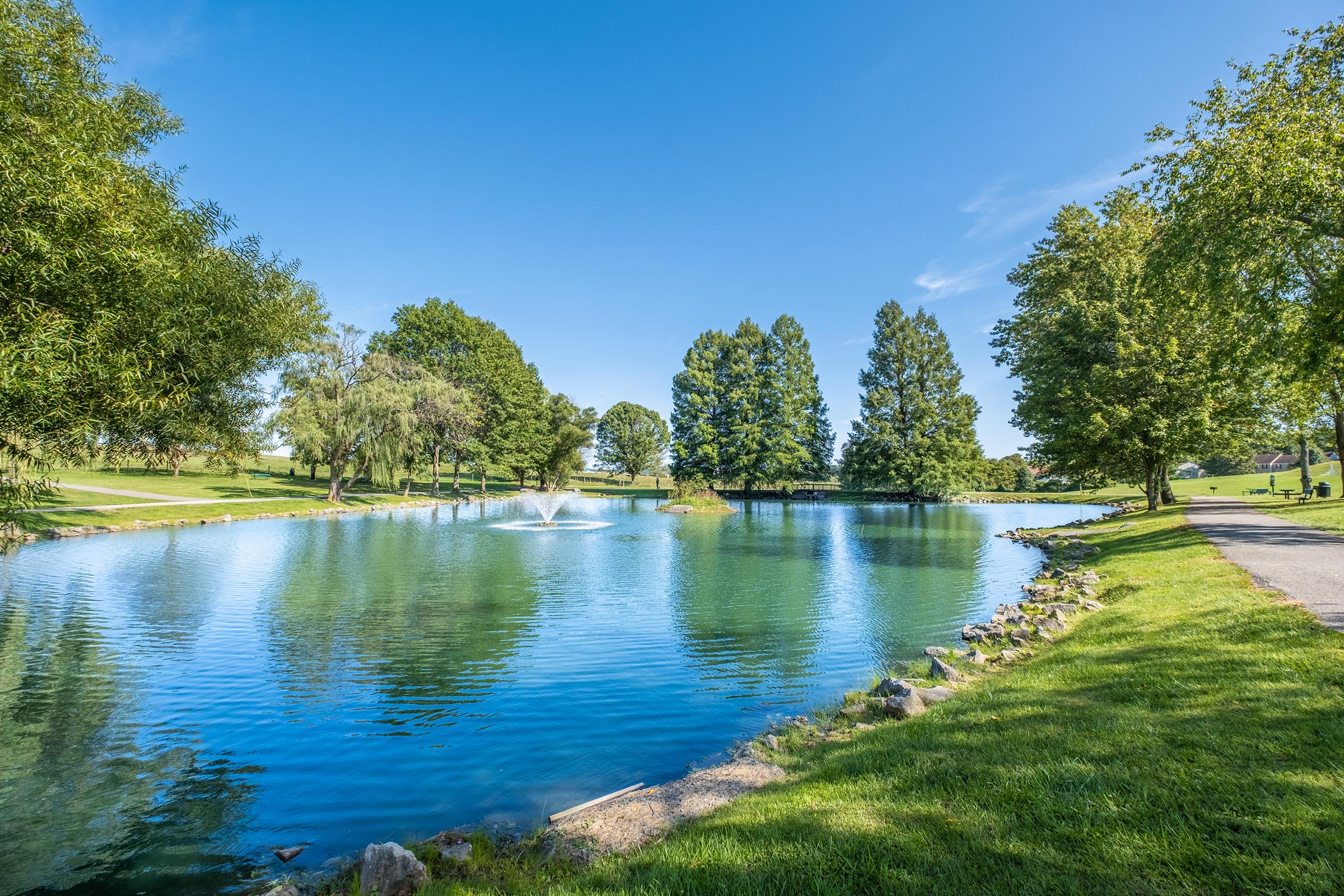 a body of water surrounded by trees