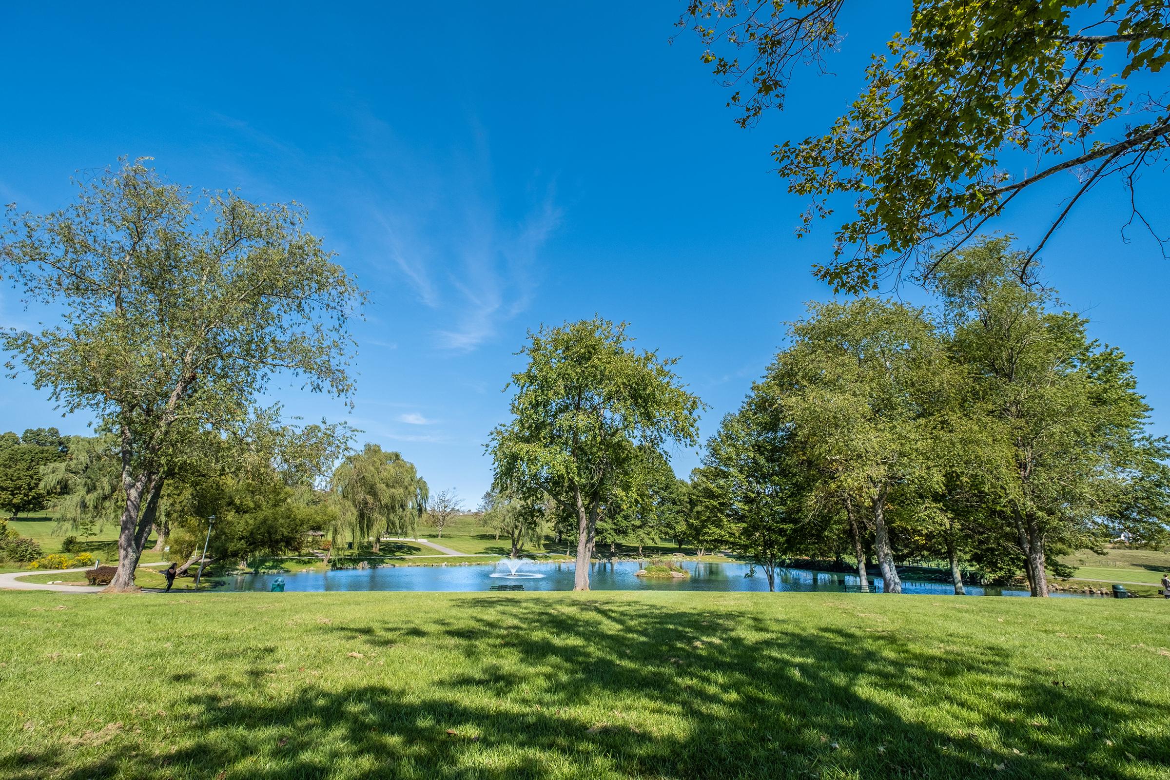 a large green field with trees in the background