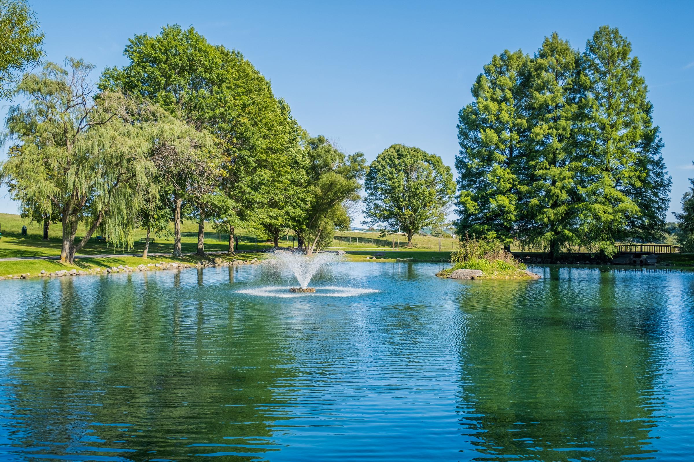 a body of water surrounded by trees