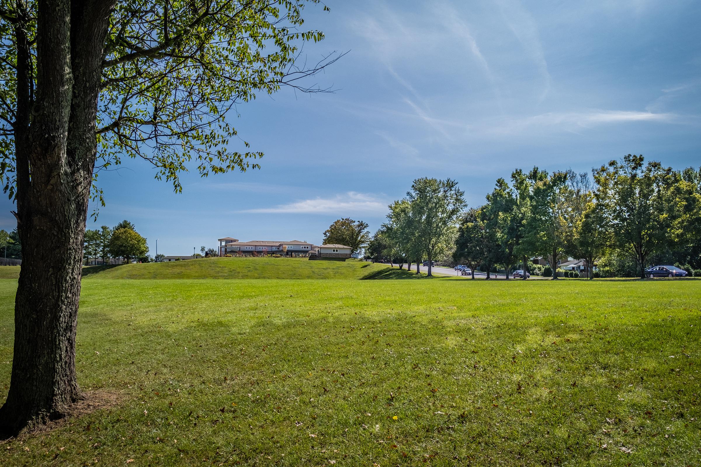 a large green field with trees in the background