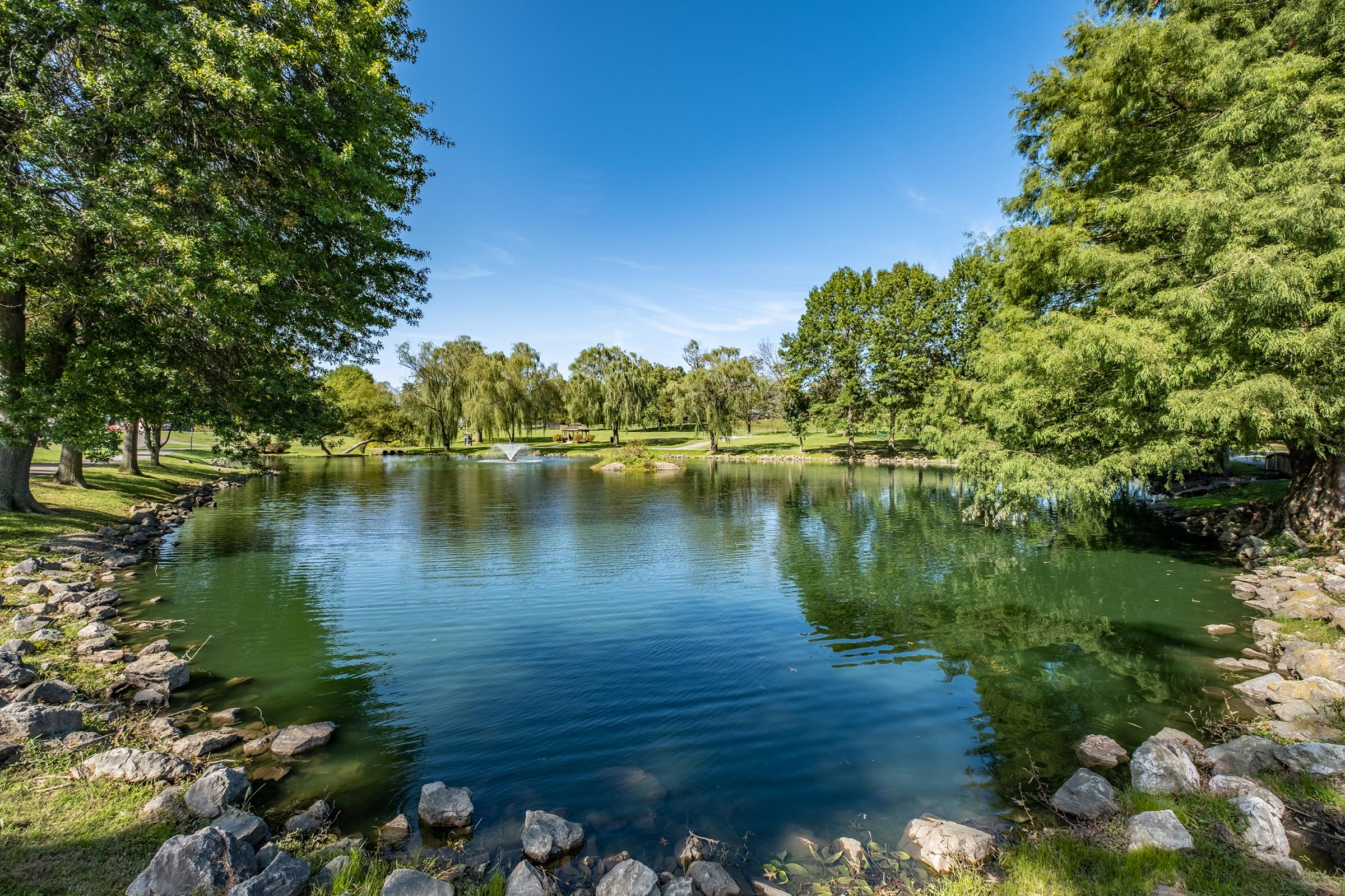 a body of water surrounded by trees