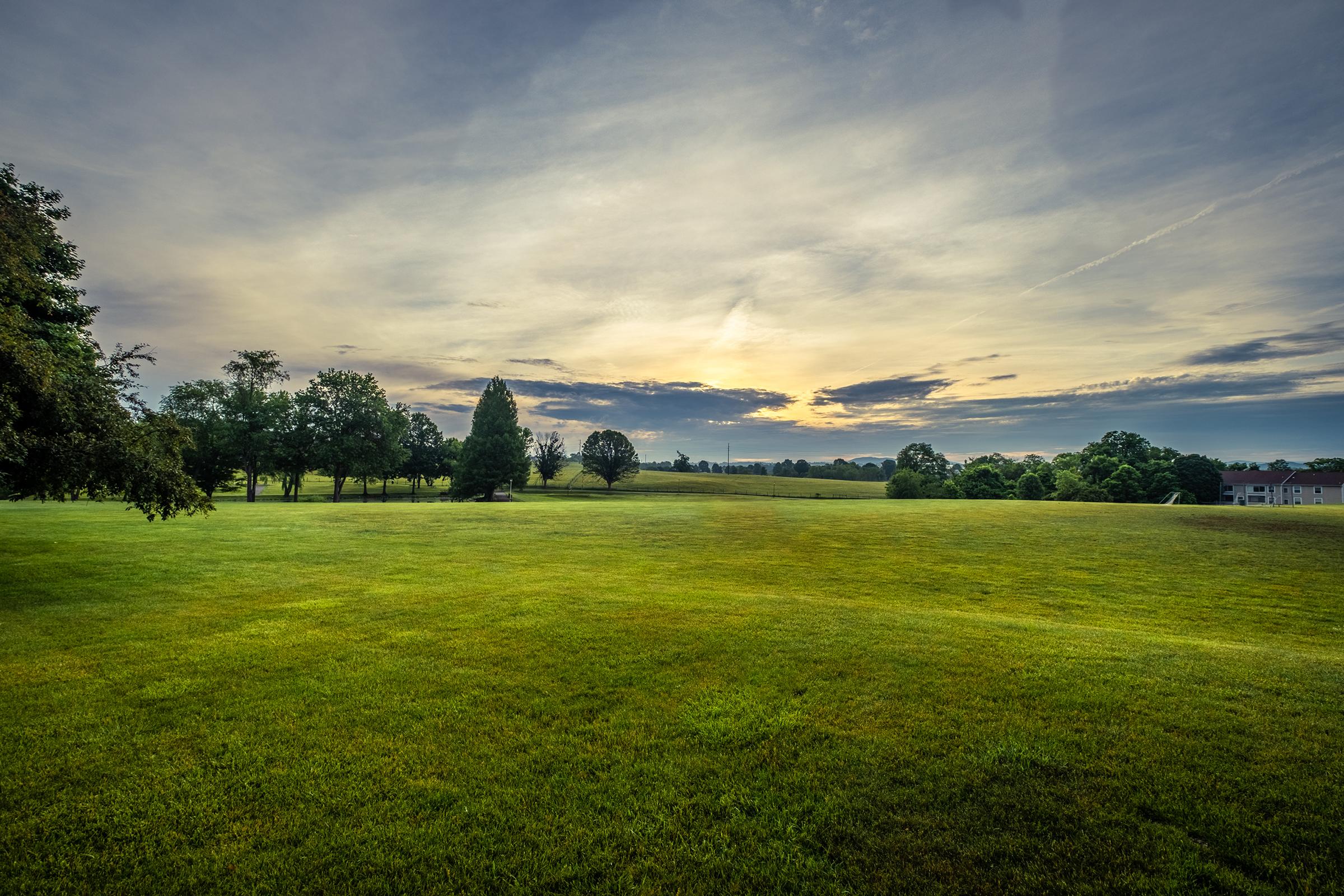 a large green field with trees in the background