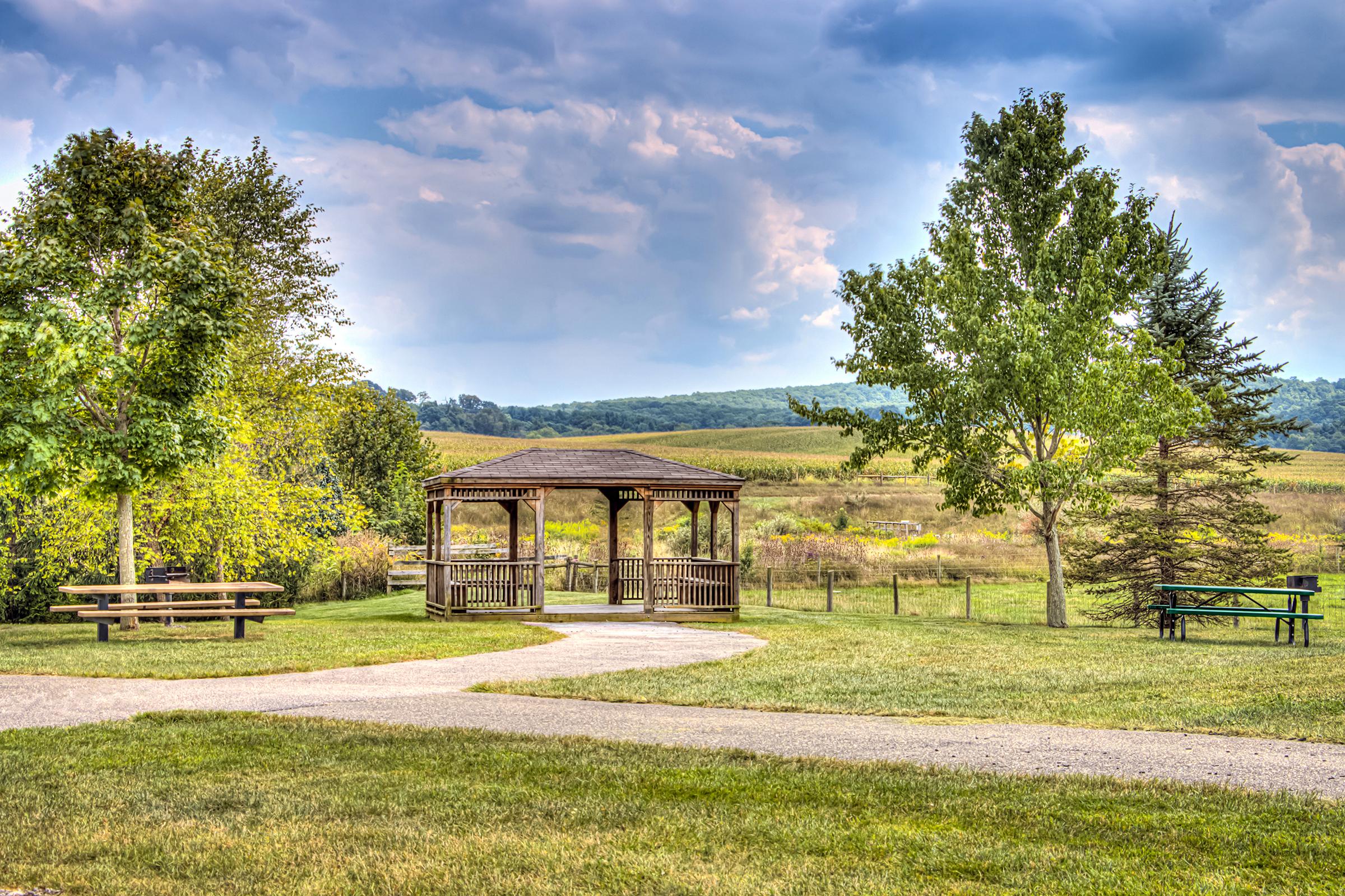 a bench sits in the middle of a field