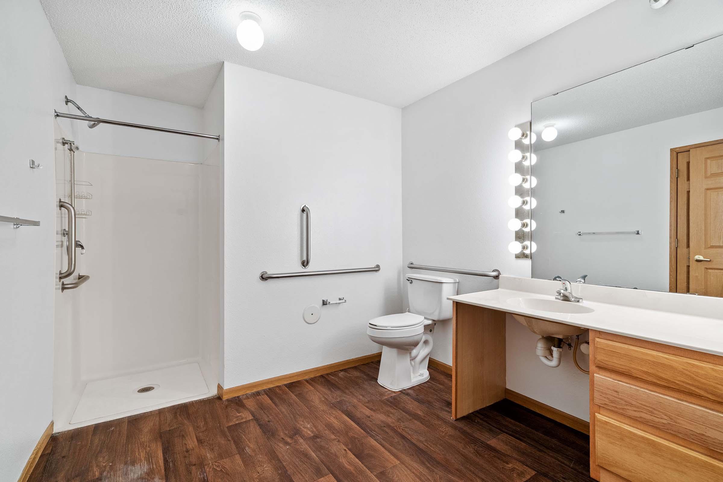 A clean, accessible bathroom featuring a large walk-in shower with grab bars, a toilet, and a bathroom vanity with a sink. The walls are painted white, and there is a large mirror with bright lighting. The floor has a wood-like finish, creating a modern, inviting space.