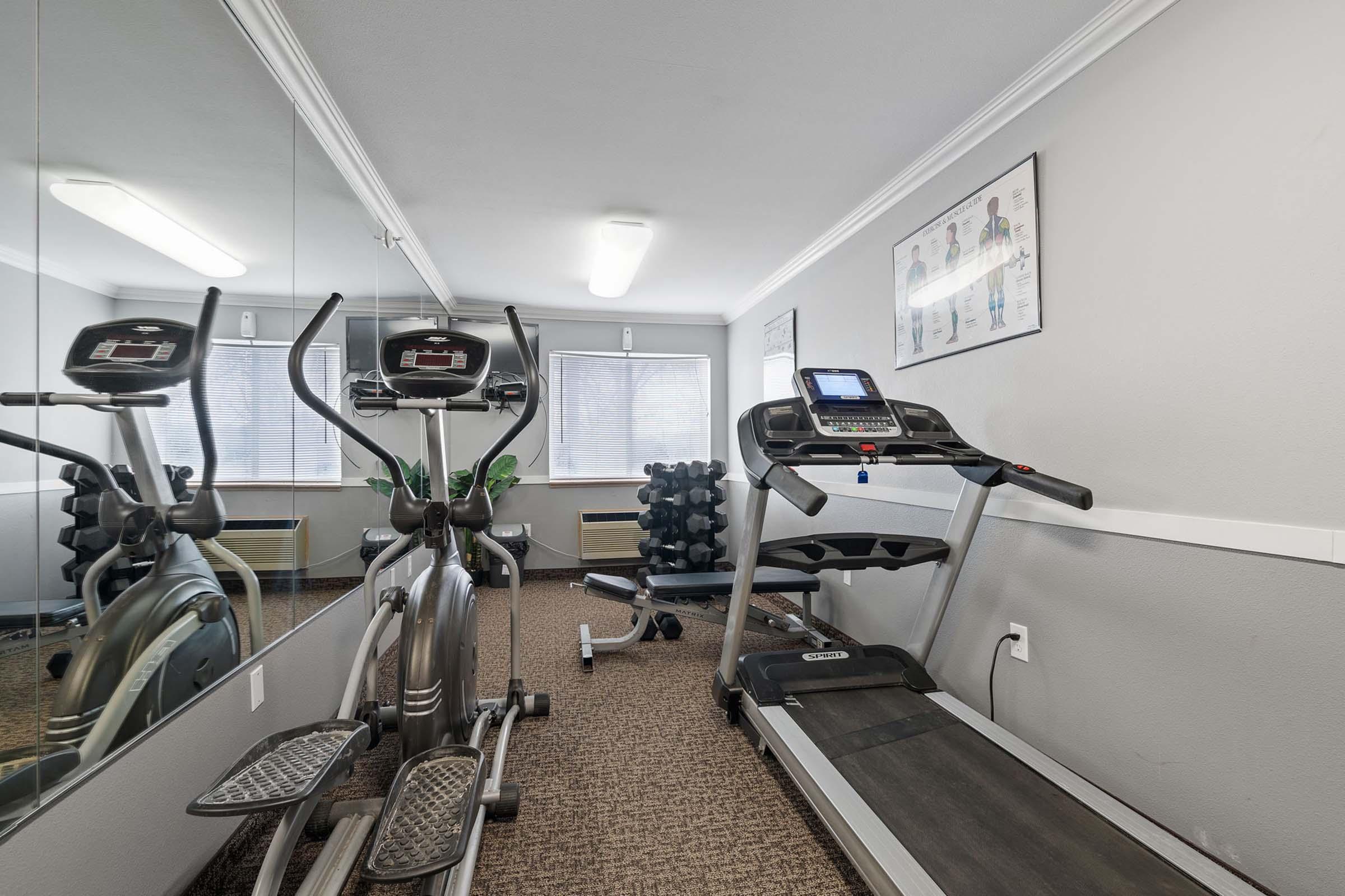 A well-equipped fitness room featuring a treadmill, an elliptical machine, and a set of weights. The room has mirrors on one wall and fitness posters on the opposite wall, with a cozy carpeted floor and a large window providing natural light.