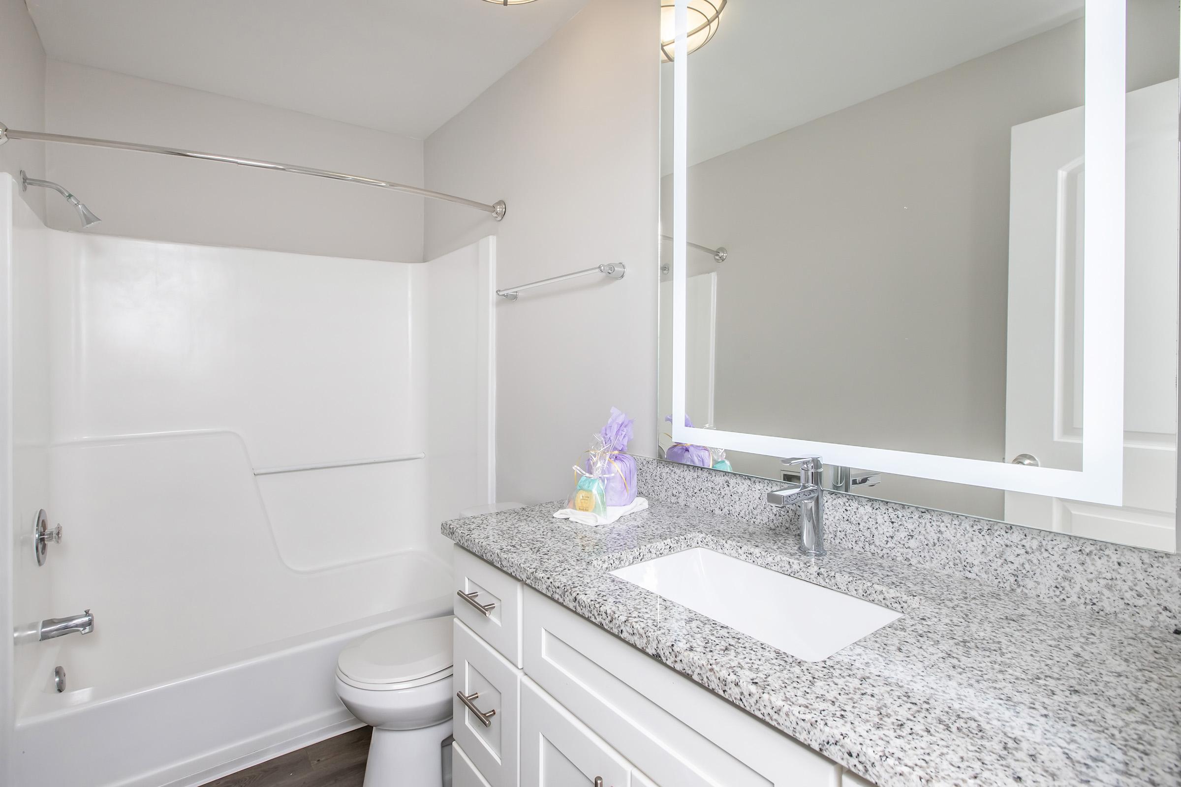 A modern bathroom featuring a white bathtub with a shower, a sleek granite countertop with a sink, a mirror with integrated lighting, and a white toilet. The decor is neutral, with light-colored walls and a touch of decorative items on the countertop.