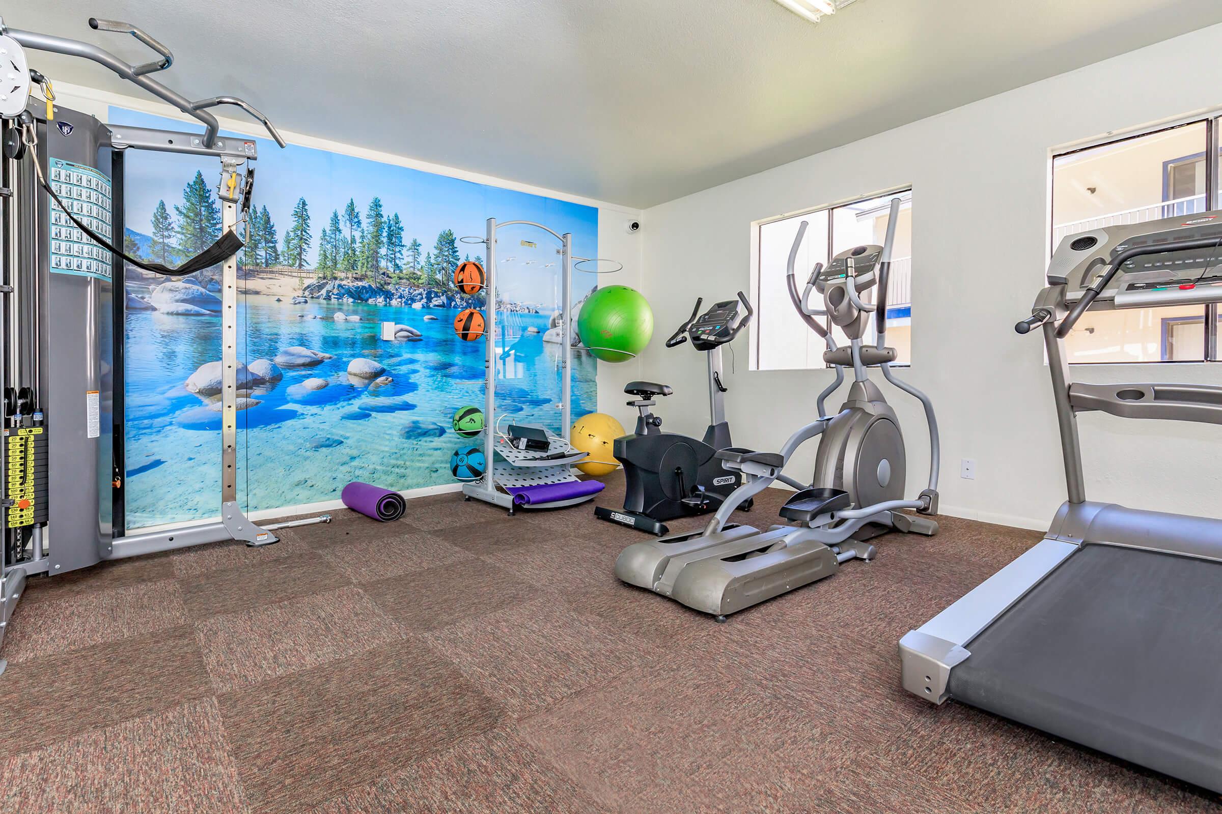 A modern gym interior featuring exercise equipment including a treadmill, elliptical machine, and stationary bike. The room has a scenic wall mural of a lake and trees, with additional fitness items like a stability ball and yoga mat. The flooring is carpeted for comfort.