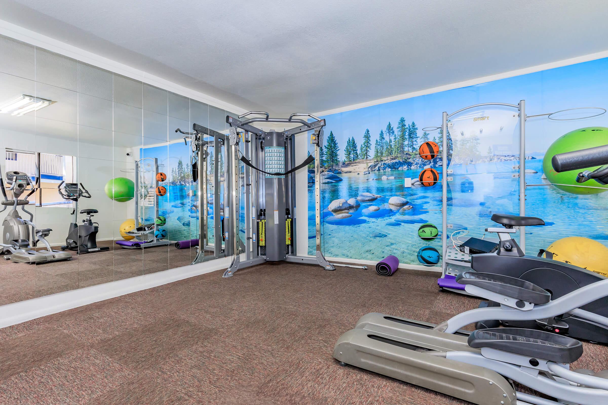 A modern gym with exercise equipment, including a multi-station weight system, stationary bikes, and exercise balls. The wall features a scenic mural of a lakeside view with trees and rocks, complemented by mirrors to enhance the space. The flooring is carpeted for comfort.