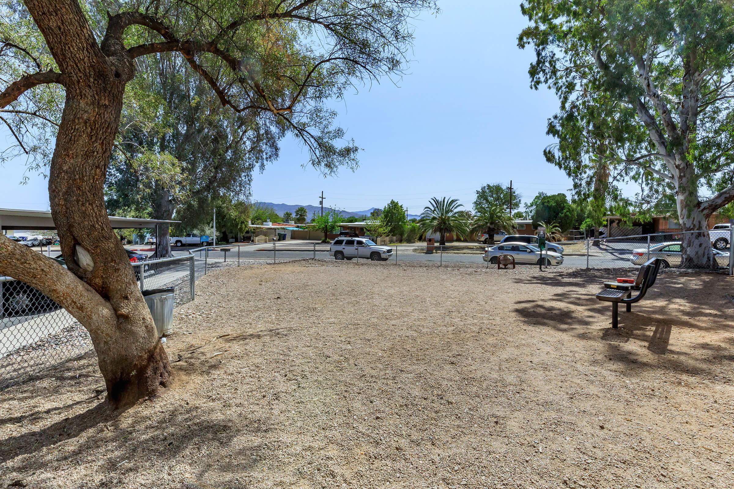 A wide view of a sunny outdoor area featuring a gravelly space with sparse vegetation. A few vehicles are parked nearby, and there are trees providing some shade. In the foreground, there's a bench, and in the background, palm trees and a residential area can be seen.