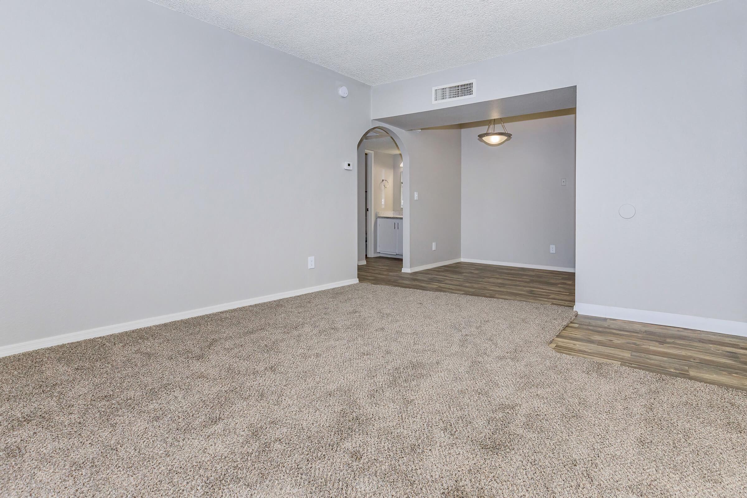 A spacious living area with light gray walls and plush carpet. An arched doorway leads to a kitchen area, visible in the background, featuring light-colored cabinetry. The flooring transitions to a wood-like finish in the adjacent area, and there is a ceiling light fixture casting soft illumination.