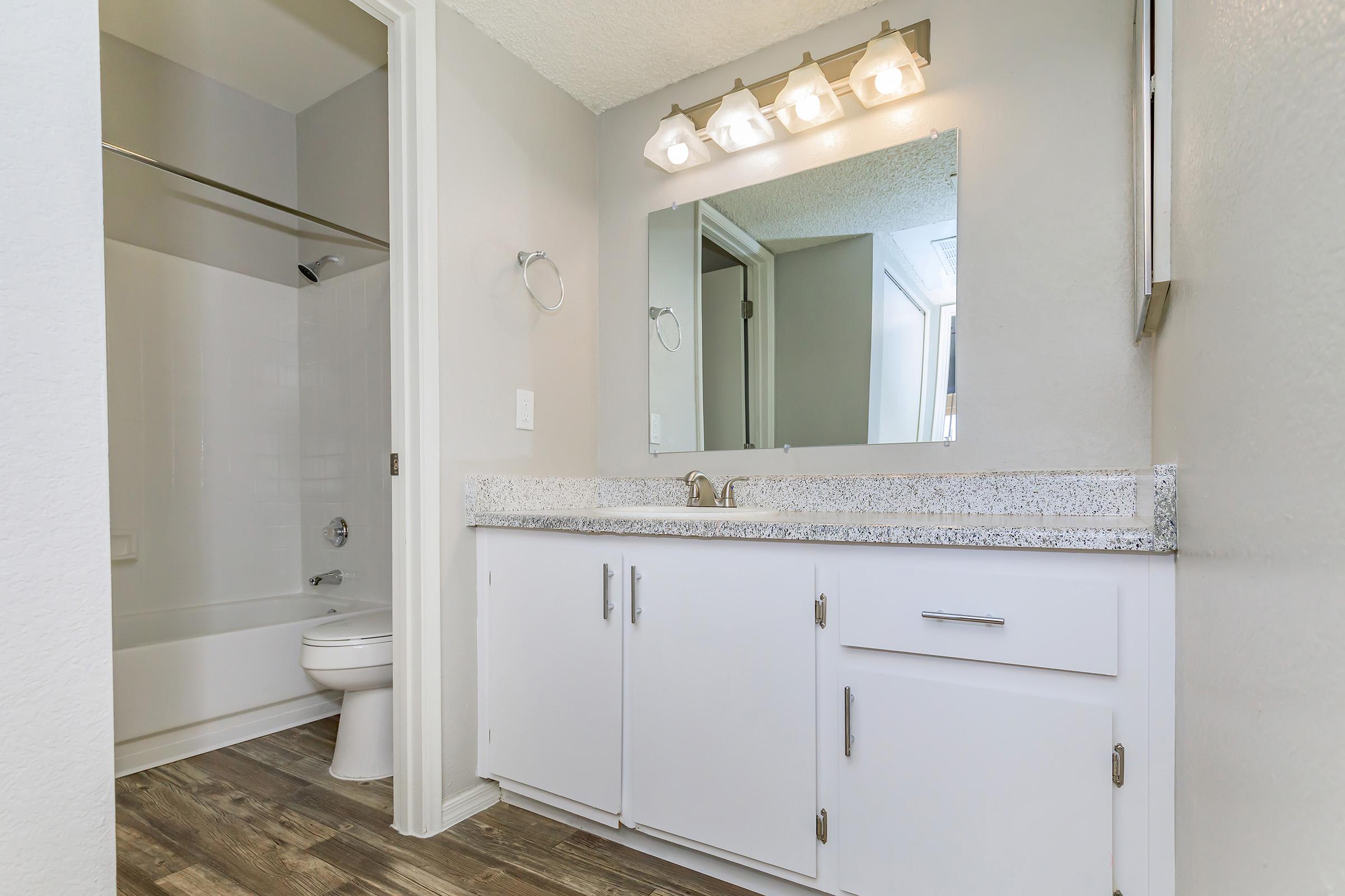 A modern bathroom featuring a white vanity with a granite countertop, a large mirror above with three light fixtures, a toilet, and a shower area. The walls are painted in a light color, and the floor has a wood-like finish, creating a clean and contemporary look.