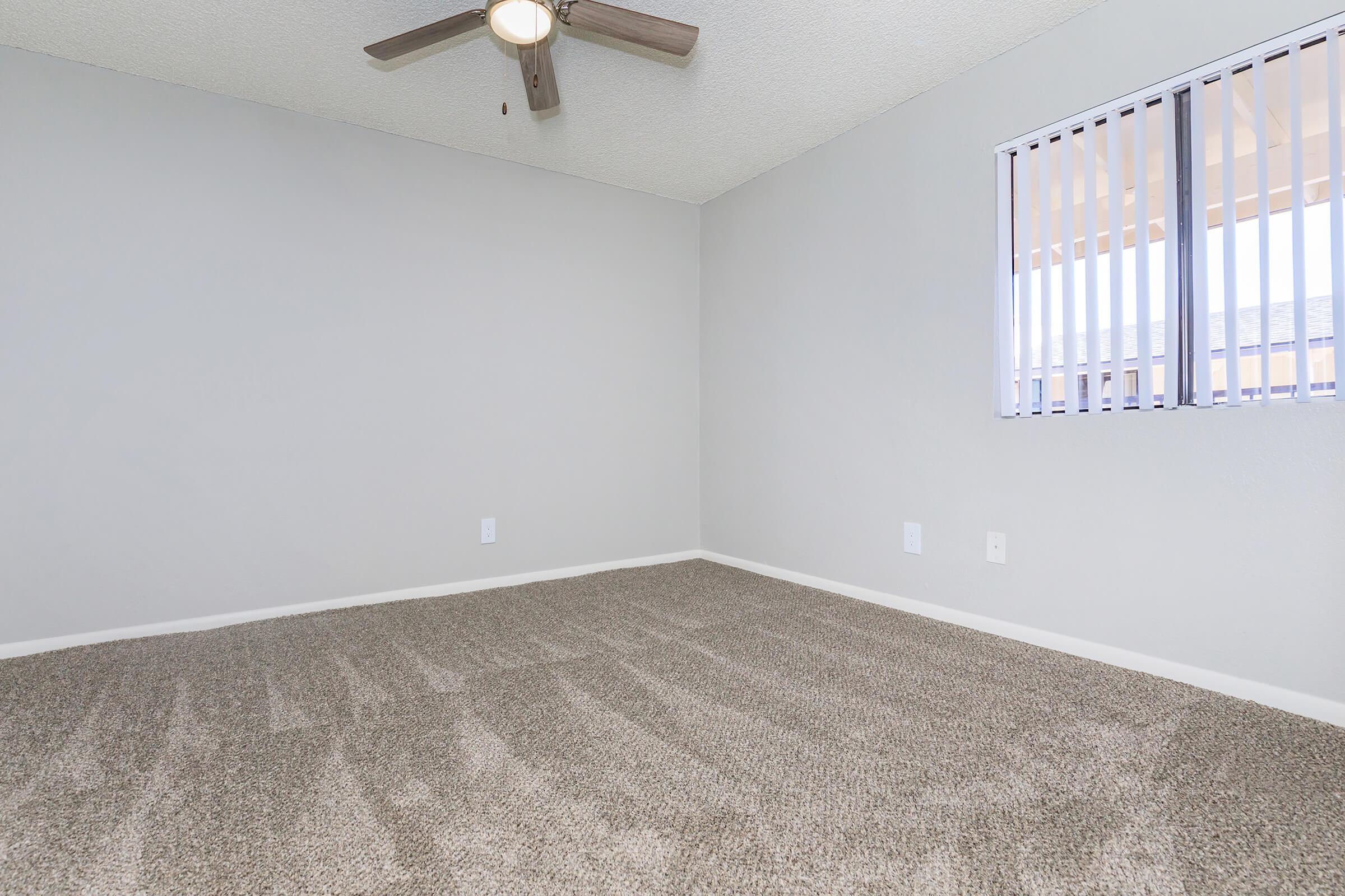 Empty room featuring beige carpet flooring, light gray walls, and a ceiling fan. There is a window with vertical blinds allowing natural light into the space. The room is spacious and uncluttered, creating a minimalist aesthetic.