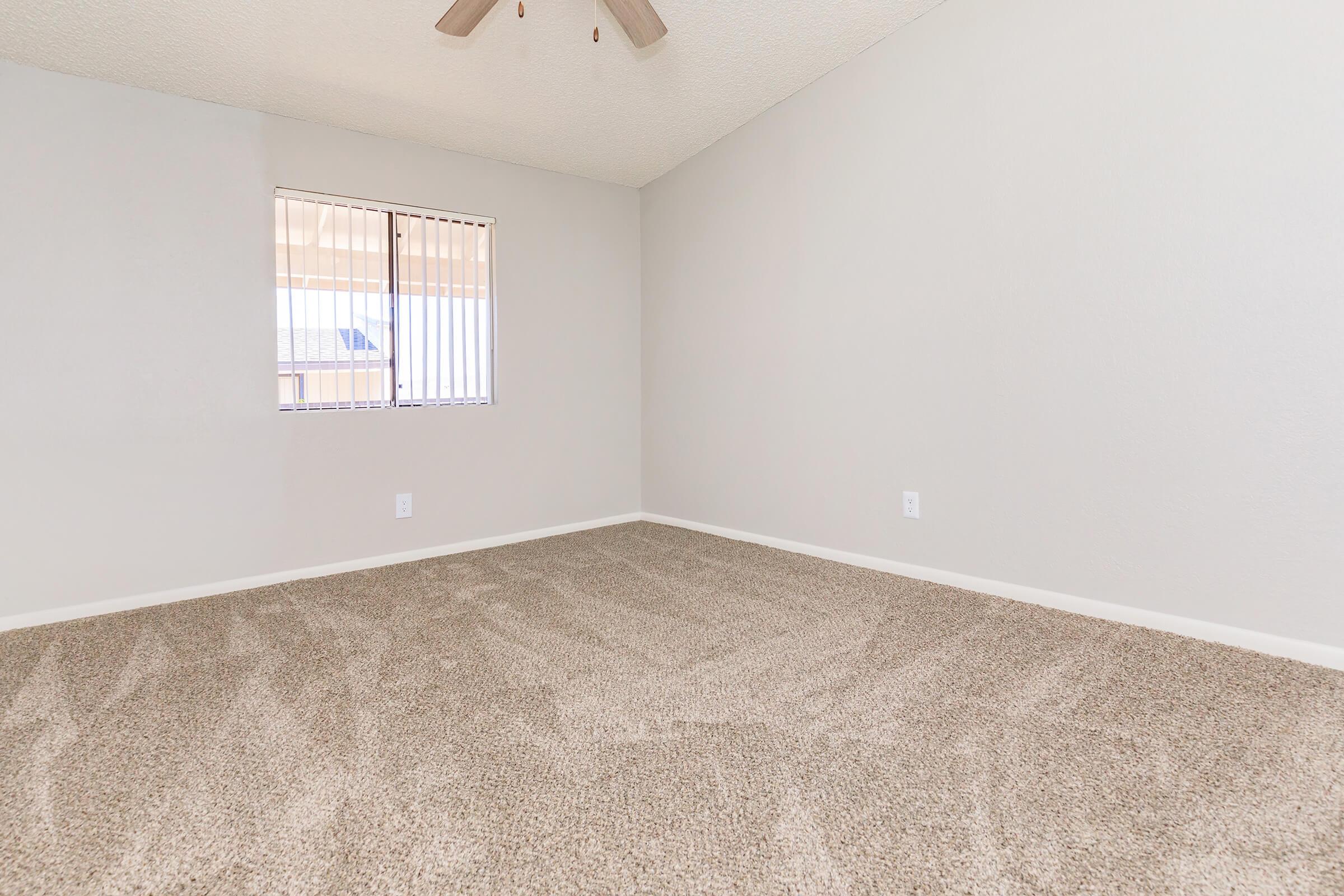 Empty room with light gray walls and a ceiling fan. The floor is covered in beige carpet, and there's a window with blinds letting in natural light. The space appears spacious and clean, ideal for personalization.