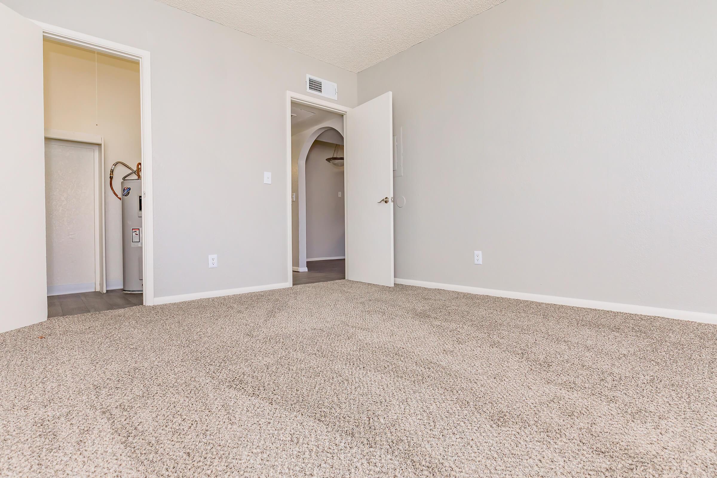 A spacious, empty room with light gray walls and a plush carpeted floor. The room features an open door leading to a closet space and another door that opens to a hallway. Natural light floods the area, creating a bright and inviting atmosphere.