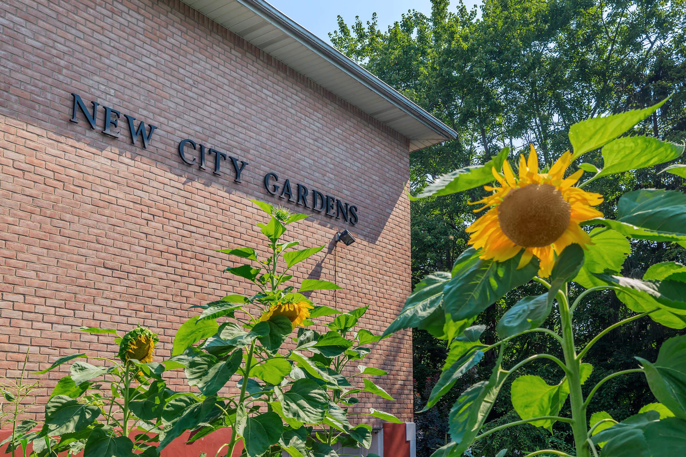 Picture of New City Gardens