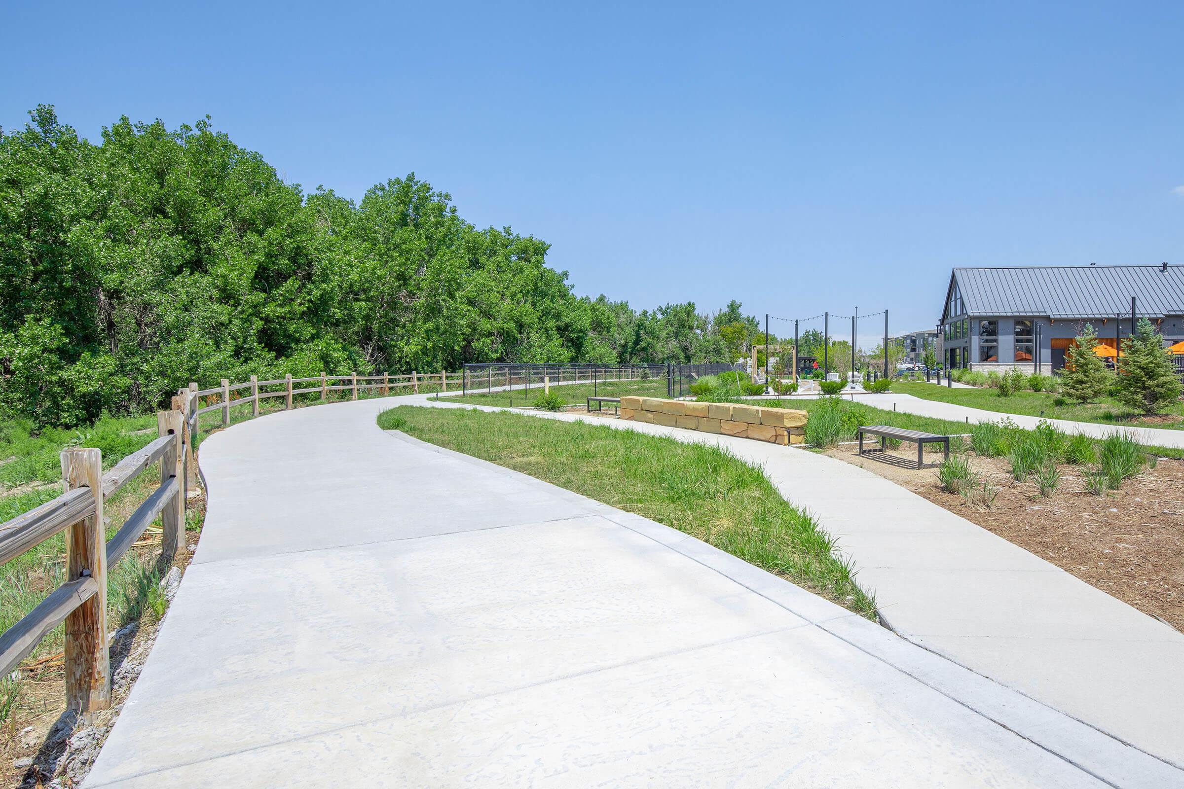 a path with trees on the side of a road