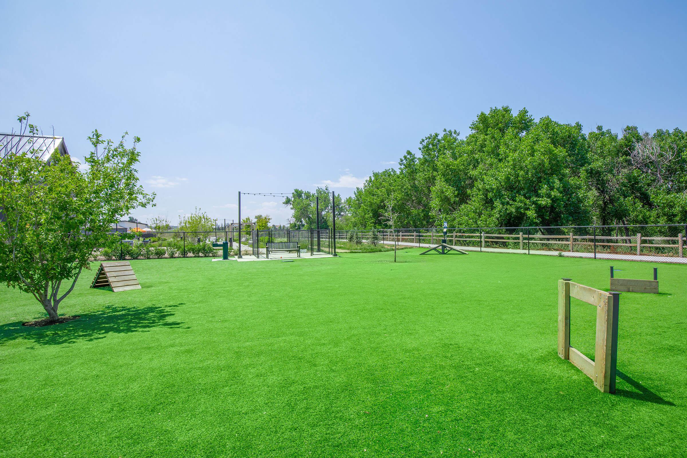 a close up of a lush green field