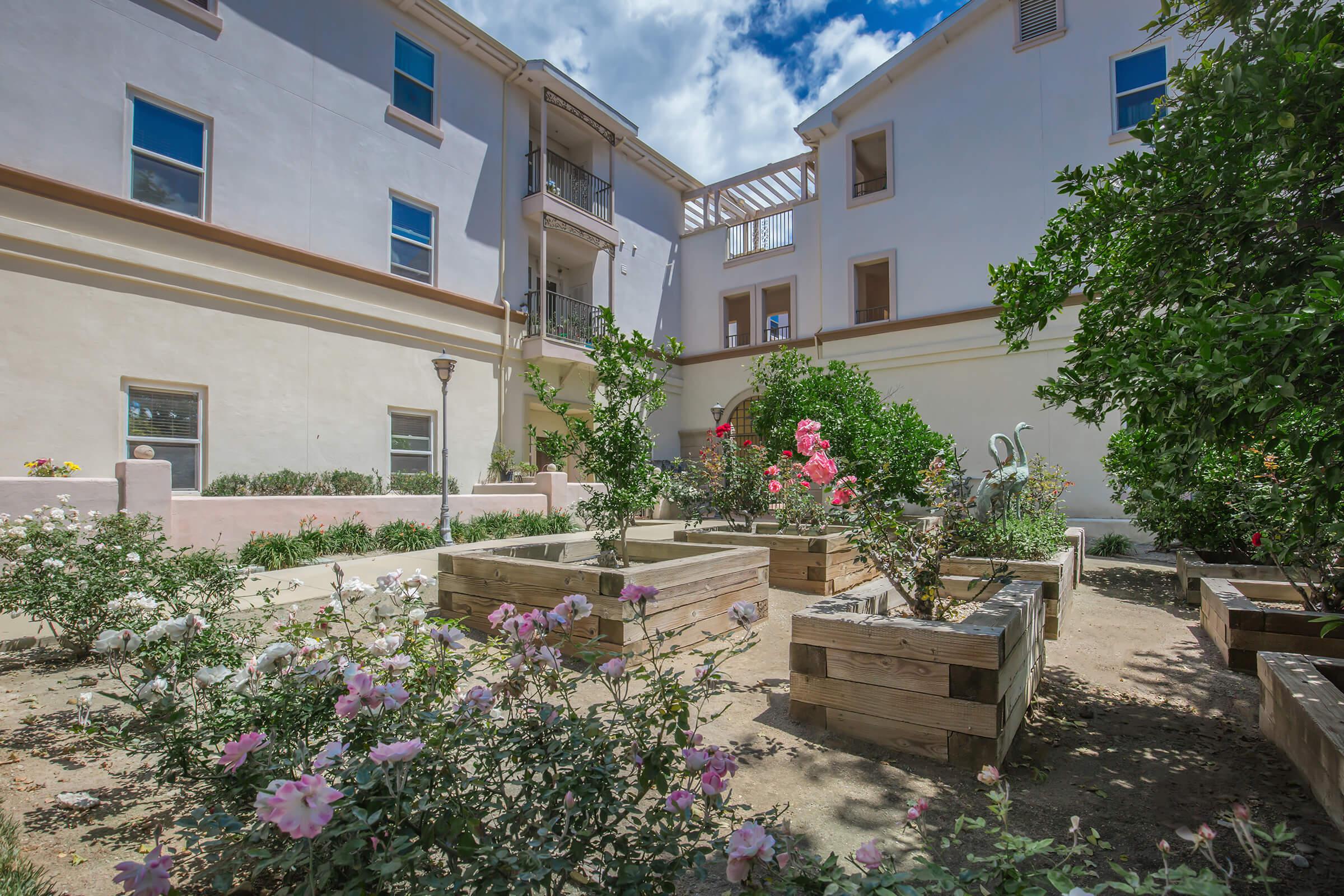 a close up of a flower garden in front of a building