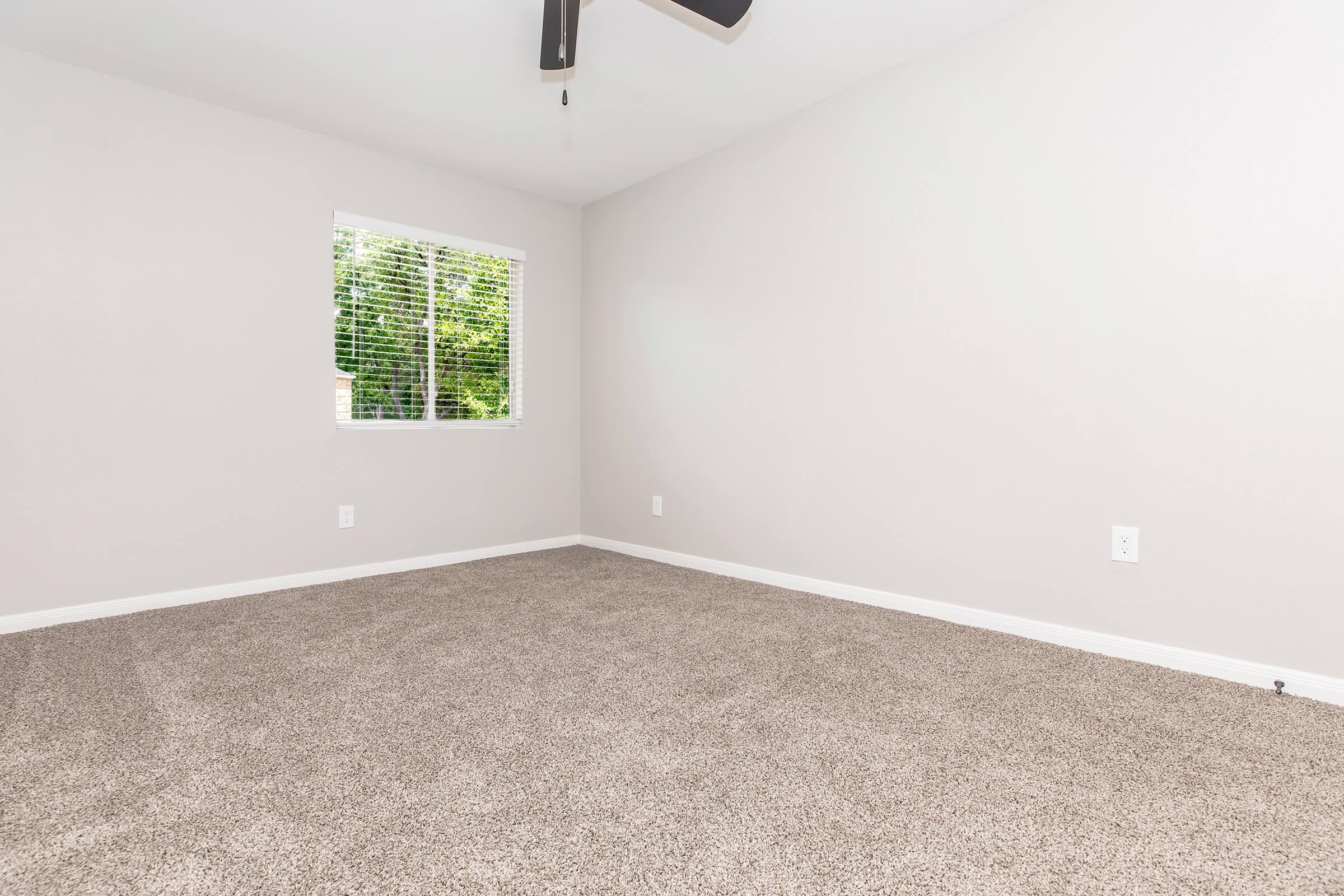 A spacious empty room with light gray walls and a plush carpet. There's a window with blinds allowing natural light, and a ceiling fan is visible. The space is uncluttered, creating a bright and airy atmosphere suitable for various uses.