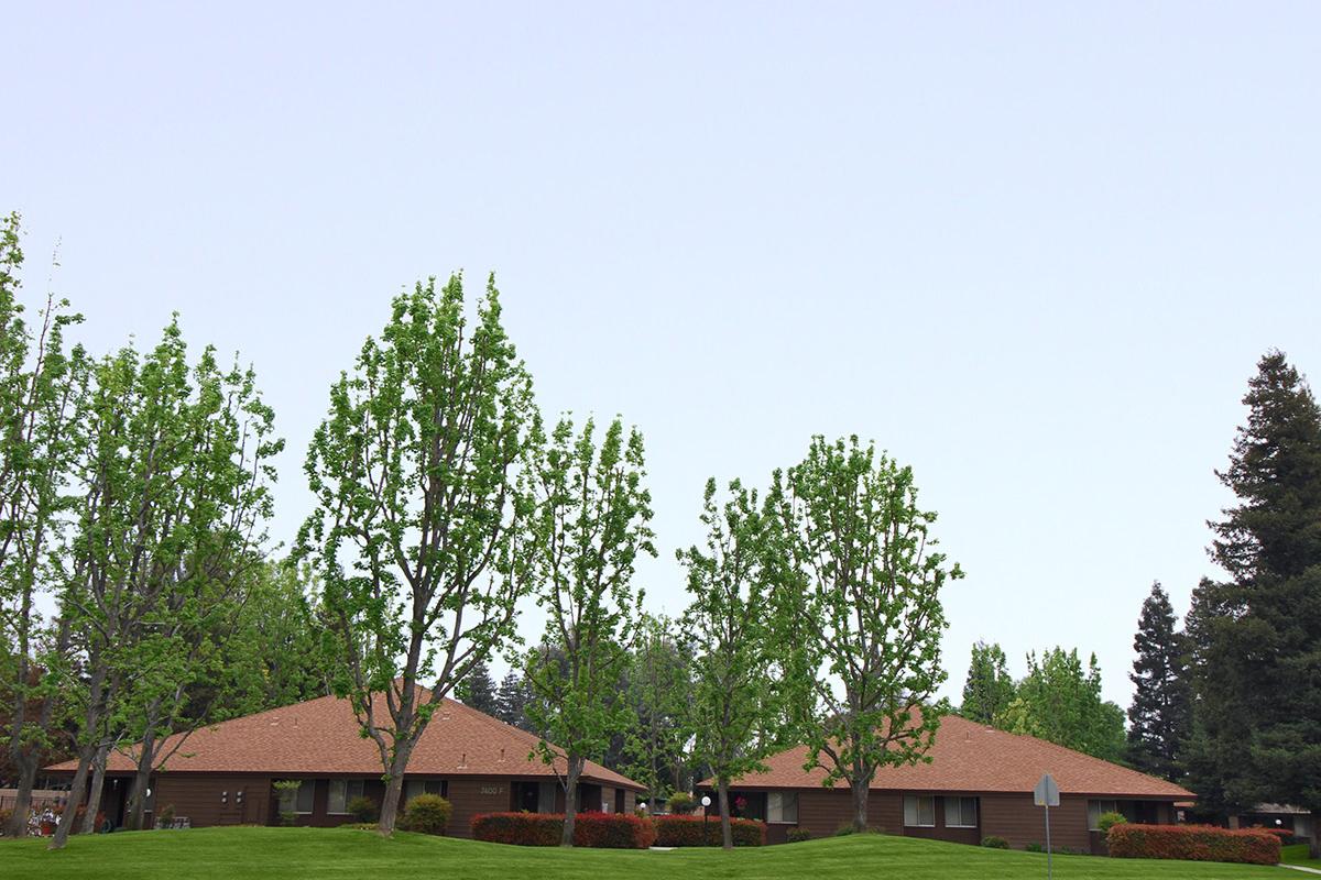 Community buildings with green trees