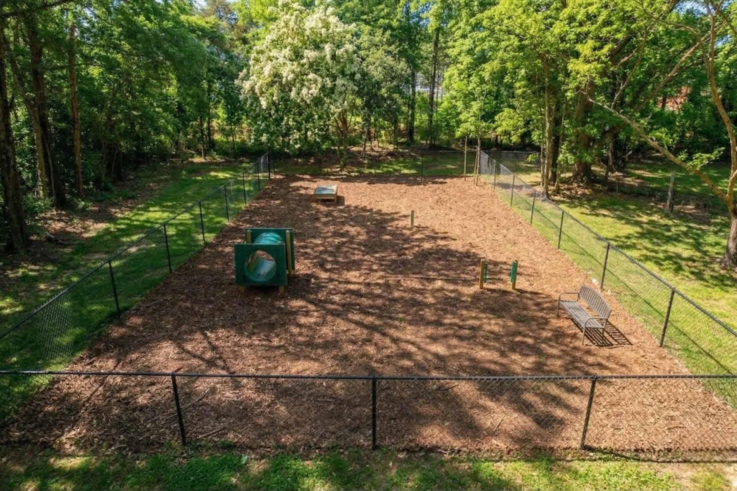 A spacious, fenced dog park with wood chip ground cover, equipped with agility obstacles and shaded areas from surrounding trees. Clear blue sky visible, creating a bright and inviting atmosphere for dogs and their owners.