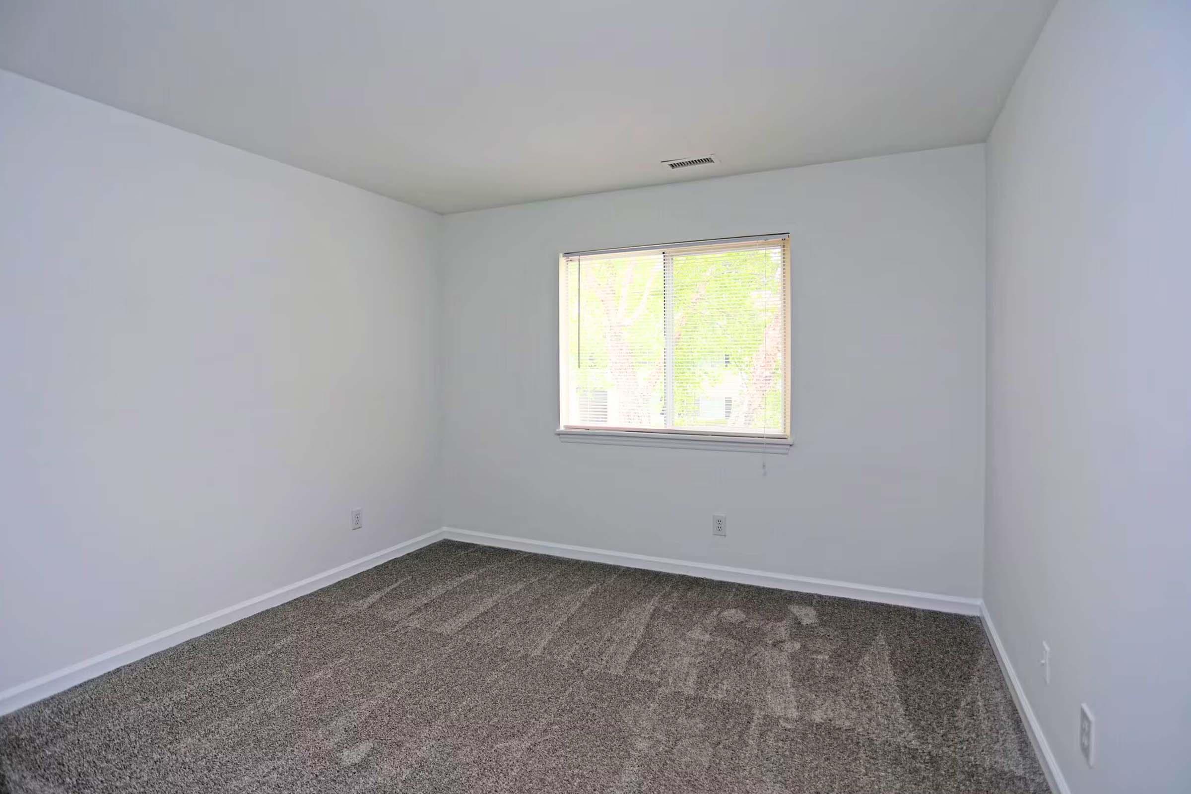 Empty room with light gray carpet and white walls. A window on one side lets in natural light, revealing trees outside. The space is unfurnished, highlighting its simplicity and potential for personalization.