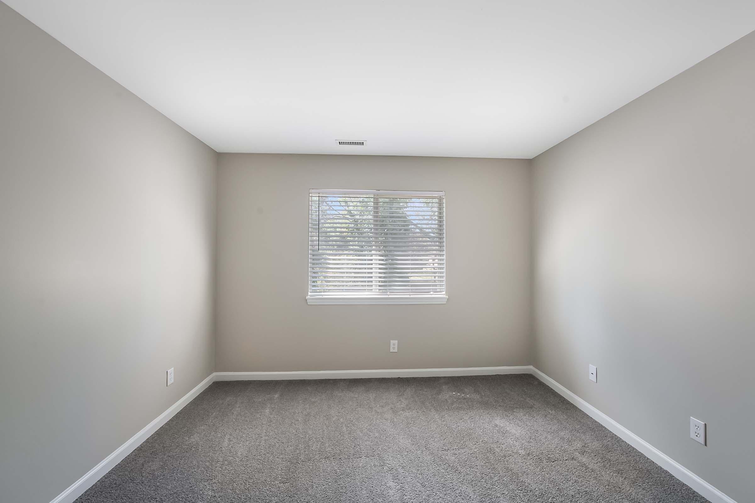 Empty room with gray walls, light-colored carpet, and a single window covered by white blinds. Natural light is coming through the window, creating a bright atmosphere. The space feels open and uncluttered, ideal for various purposes such as an office or bedroom.