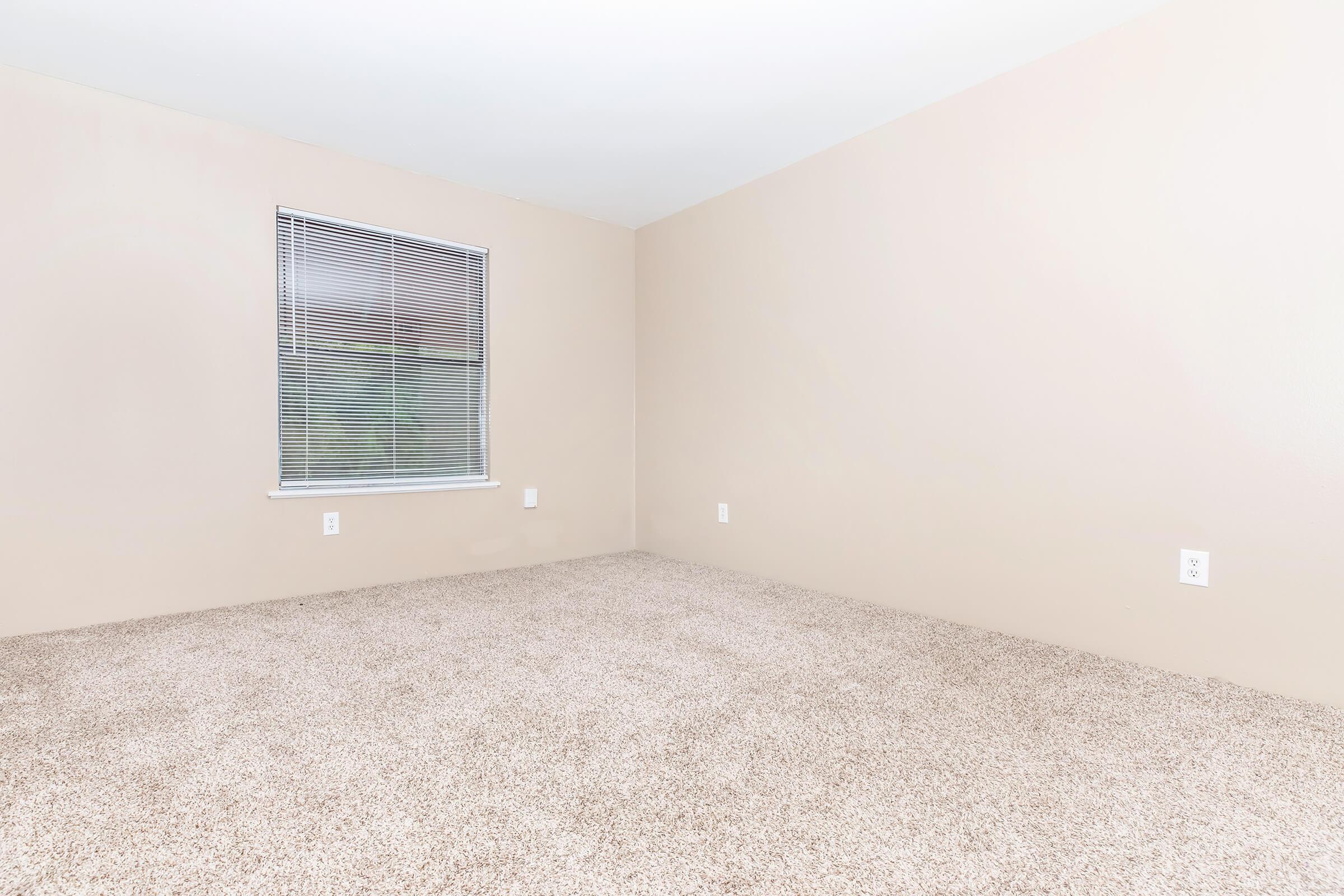 Empty room with light beige walls and a window featuring blinds. The floor is covered in plush, tan carpet, creating a spacious and airy atmosphere. There are no furniture or decorations present, emphasizing the room's simplicity and potential for personalization.