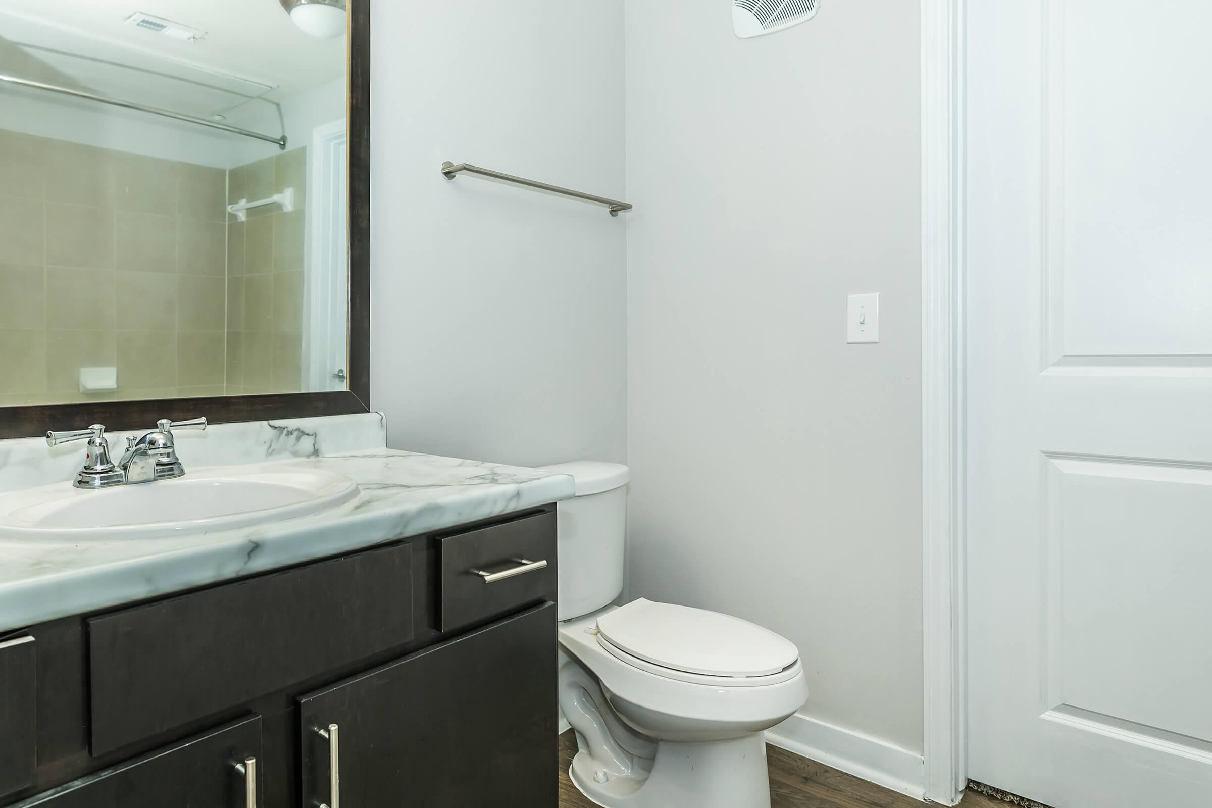 a sink and a mirror