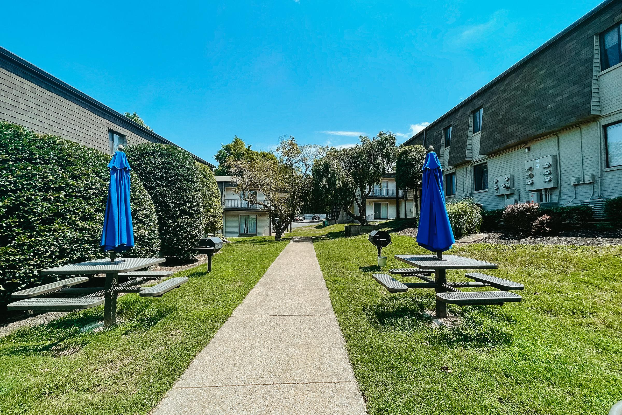 Picnic Area at The Bluffs Over Cumberland