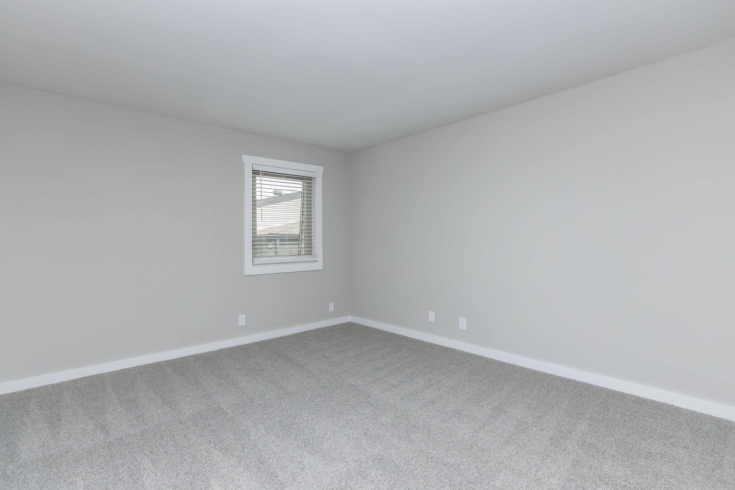 Empty room with light gray carpet and neutral gray walls. A single window with white trim allows natural light to enter. The space is unfurnished, creating a clean, minimalistic atmosphere, ideal for a variety of uses or decorating styles.