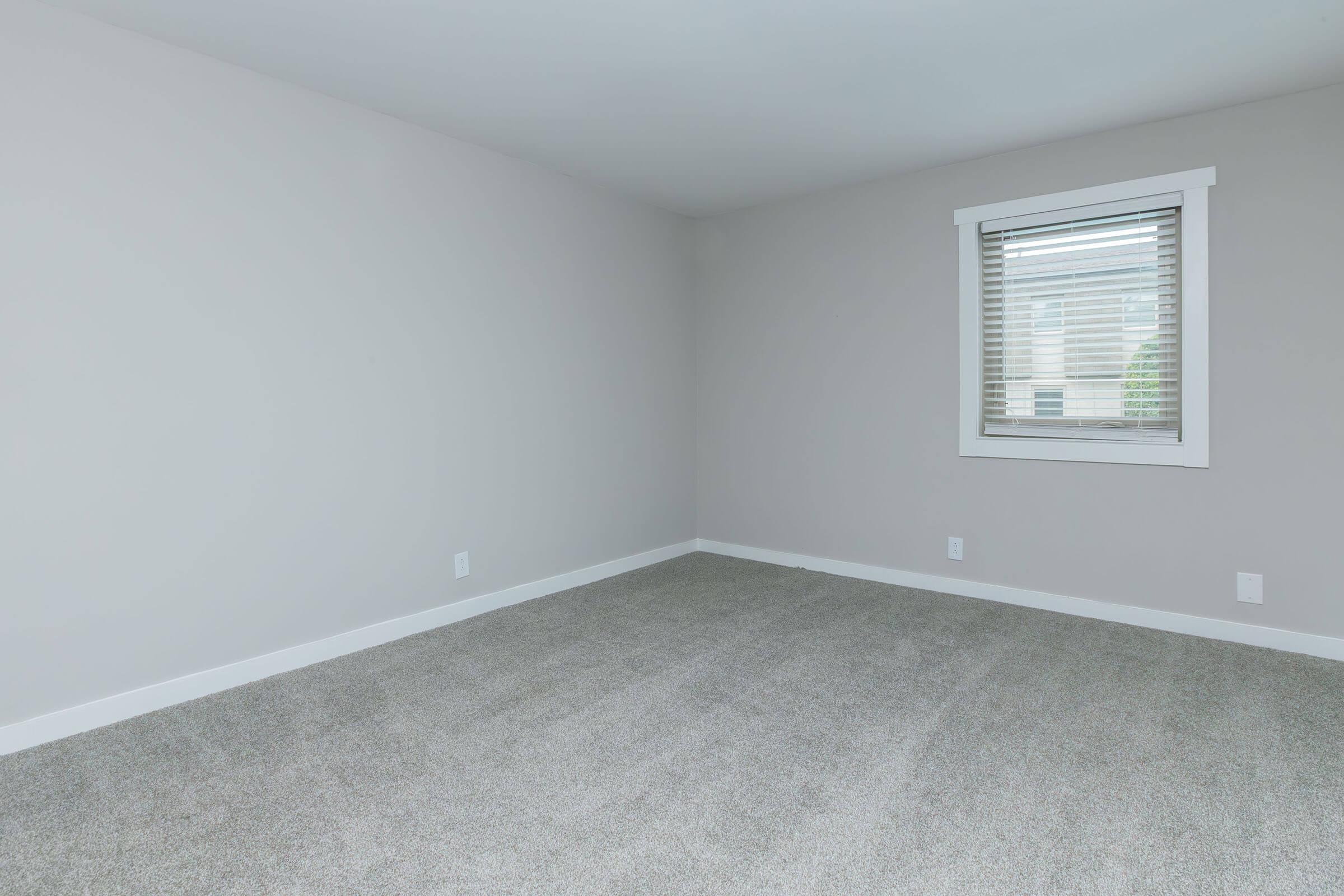 Empty room with light gray walls and beige carpet. A window with horizontal blinds allows natural light. The space is unfurnished, creating a minimalist and clean atmosphere.