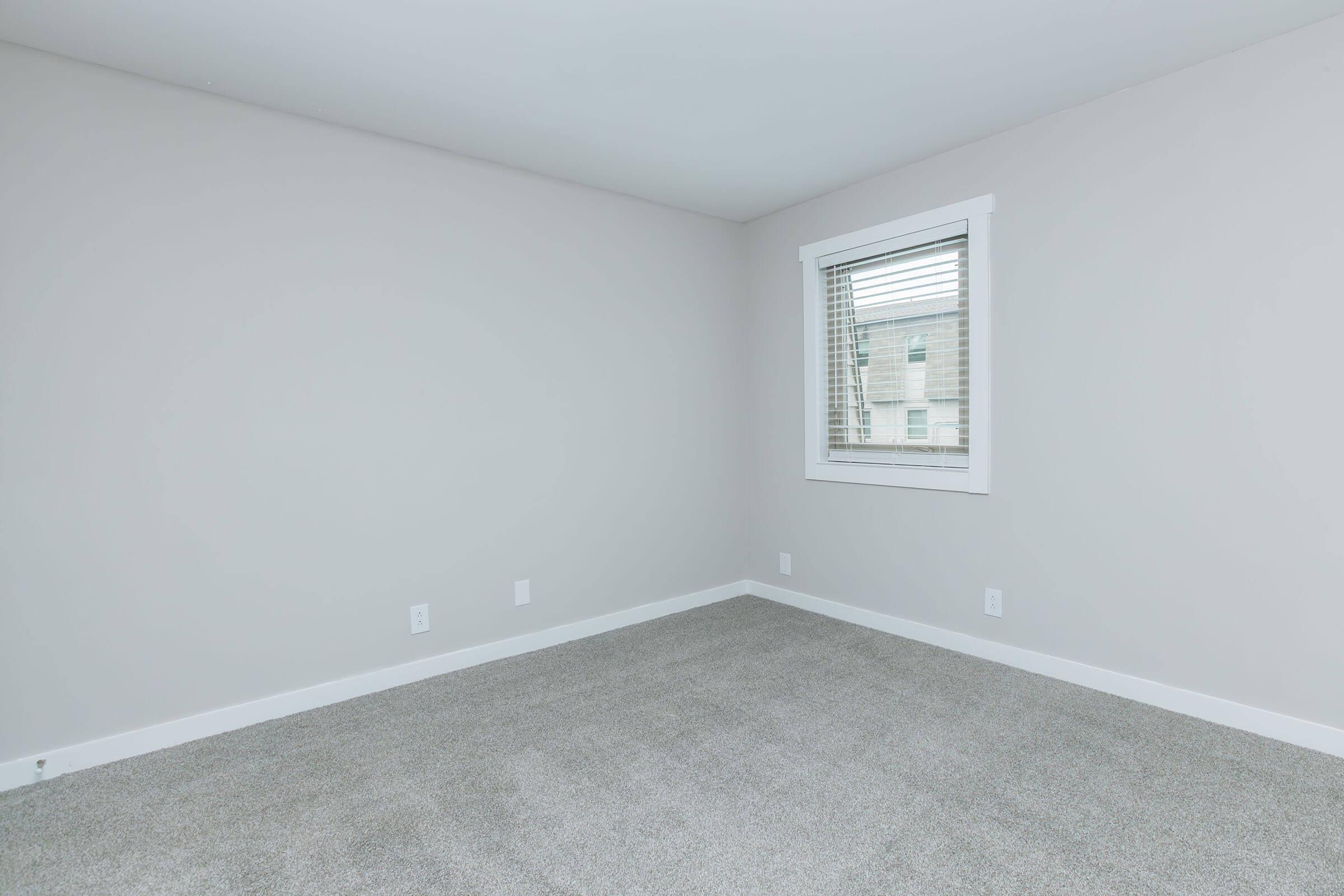 A spacious, empty room with light gray walls and carpet. There’s a window with white blinds allowing natural light in, and a simple white trim around the window and floor. No furniture or decor is present, creating a minimalistic and clean aesthetic.