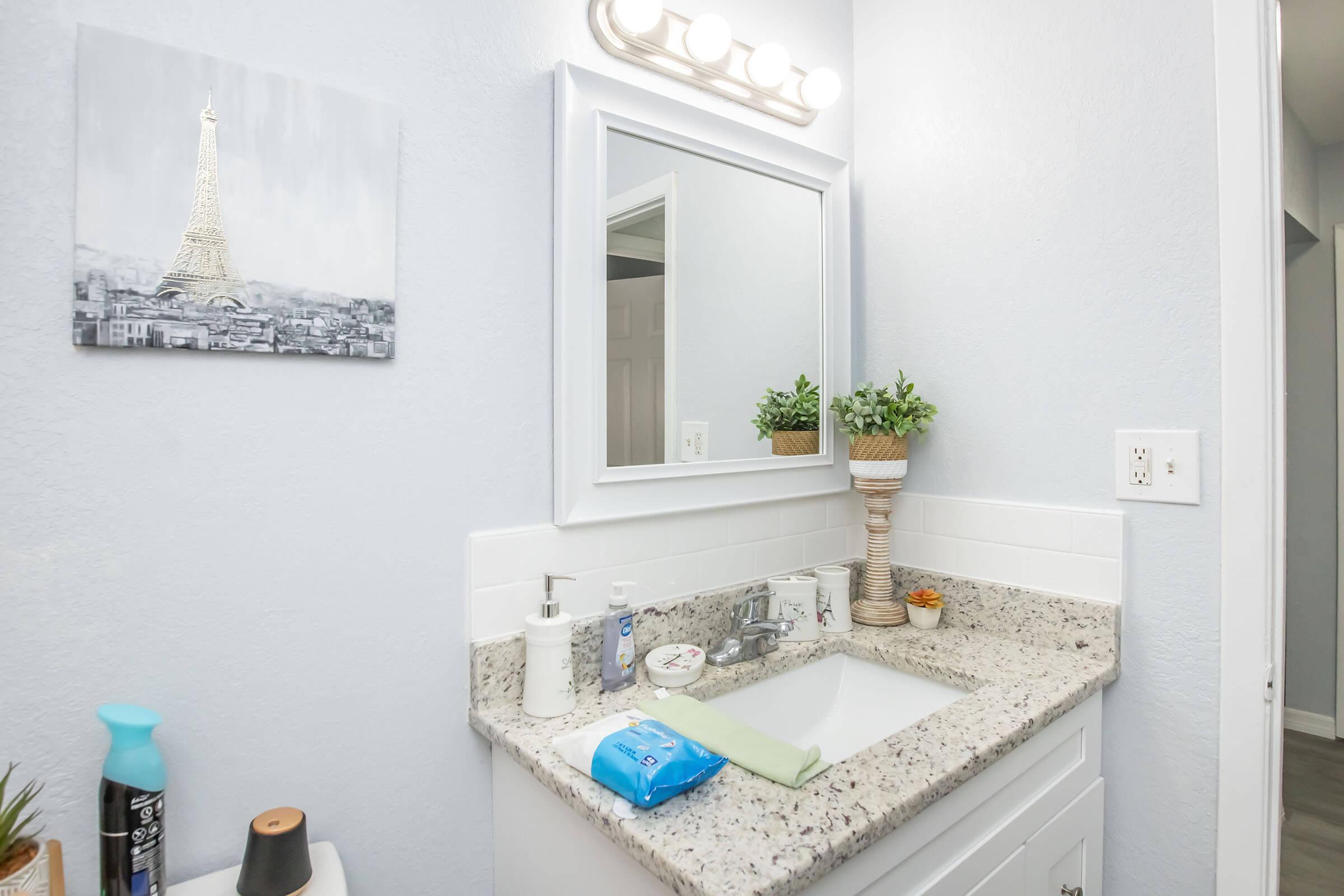 A modern bathroom with a light gray wall, featuring a mirror with a light fixture above a granite countertop. There’s a sink with soap dispensers, a small potted plant, and a blue cleaning cloth. An Eiffel Tower photograph hangs on the wall, adding a decorative touch to the space.
