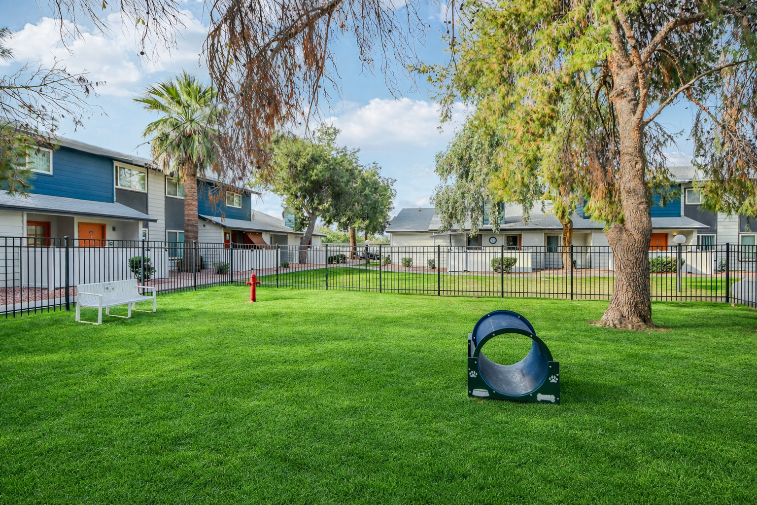 A well-maintained green lawn surrounded by a black fence, featuring a nearby palm tree. In the foreground, there is a circular dog agility tunnel, and in the background, a row of apartment buildings with blue and gray exteriors. Clear blue skies enhance the peaceful outdoor setting.