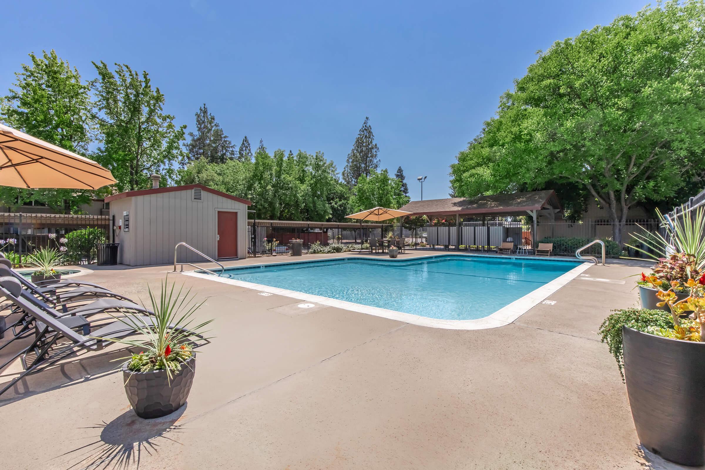 A bright outdoor swimming pool surrounded by lounge chairs and umbrellas, with lush greenery and trees in the background. The pool area features a decorative fence and potted plants, creating a welcoming atmosphere ideal for relaxation and leisure.