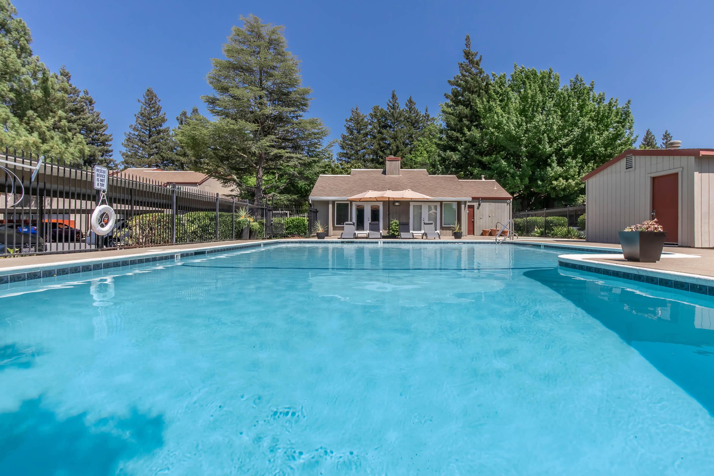 A clear blue swimming pool reflecting the sky, surrounded by green trees. In the background, a quaint house with a patio and an umbrella. A storage shed is visible to the right, and a fence runs along the pool area. The scene conveys a tranquil, inviting atmosphere ideal for relaxation.