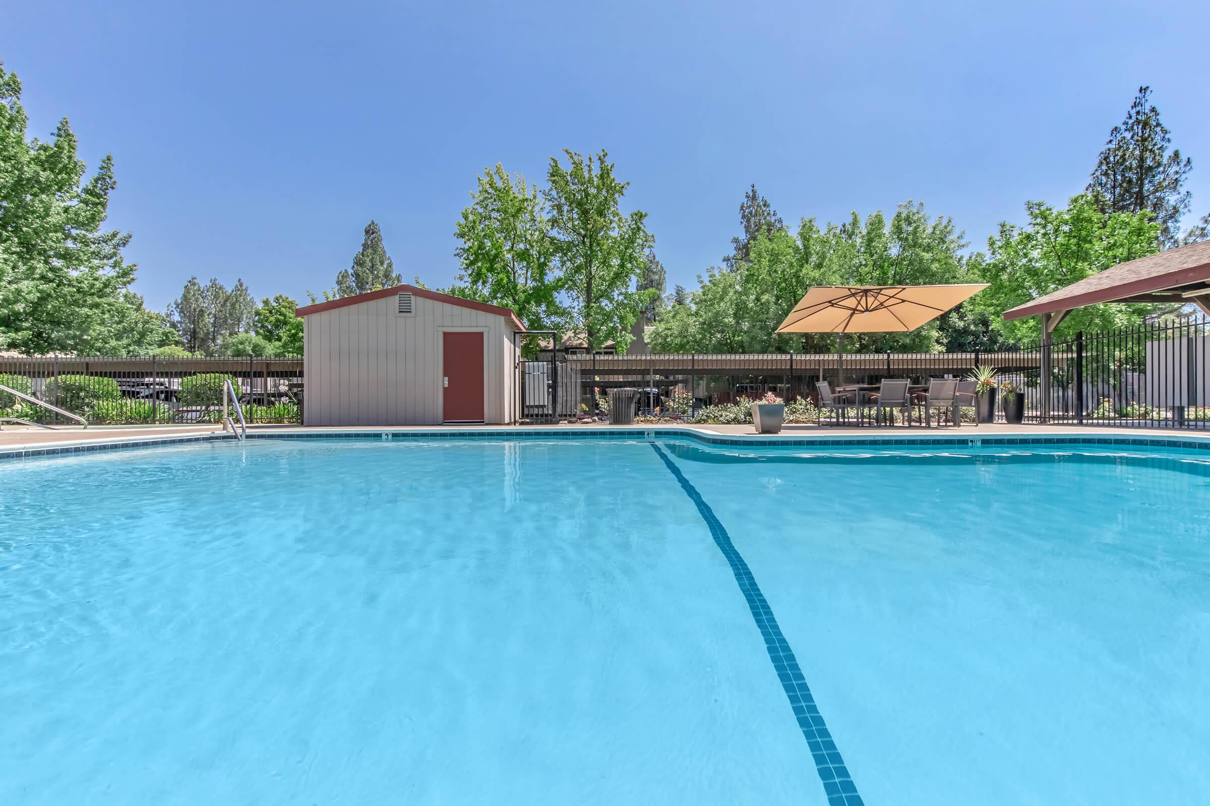 A clear blue swimming pool surrounded by lush greenery, featuring a small shed in the background. Shade structures provide cover for seating areas, and well-maintained landscaping enhances the tranquil atmosphere. Bright sunny skies complete the inviting outdoor scene.