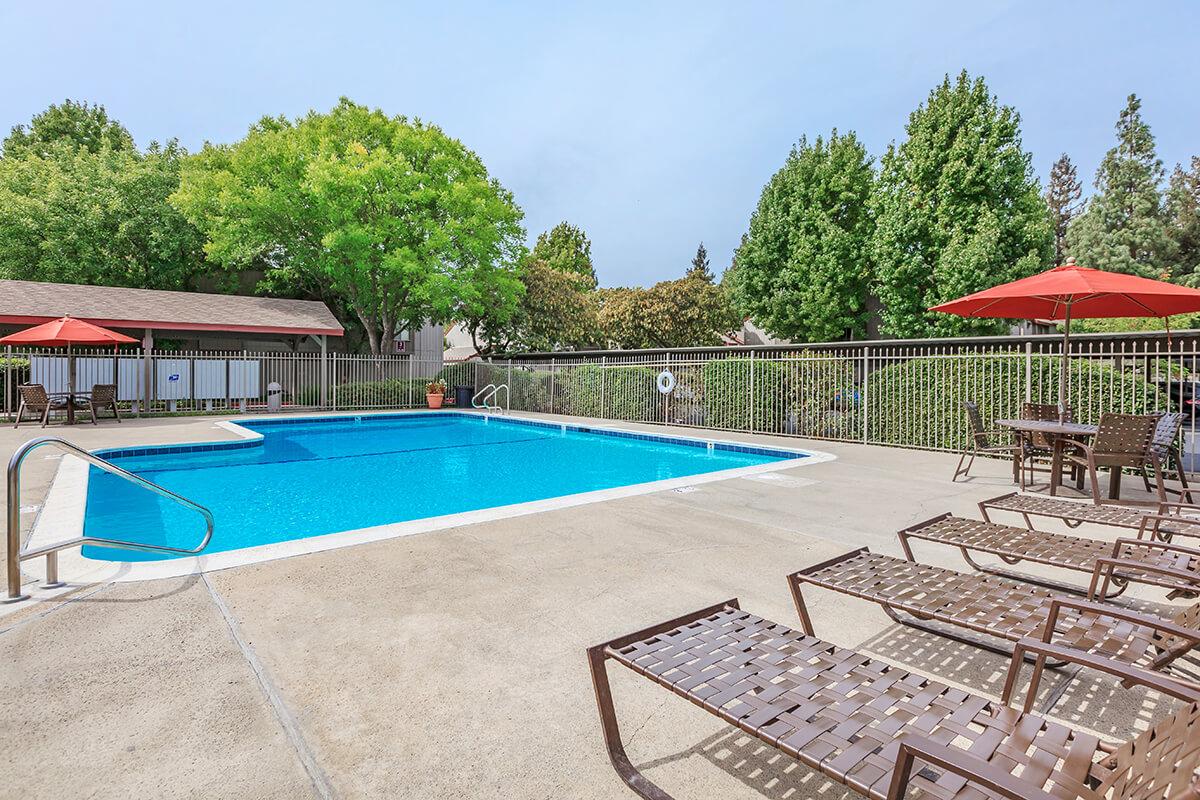 a group of lawn chairs sitting next to a pool of water