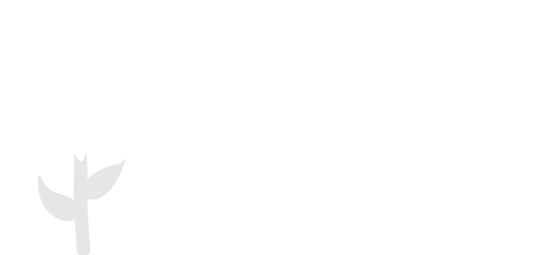 Ryze at Sunfield ebrochure logo
