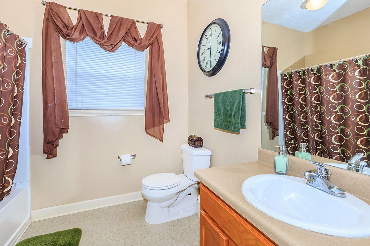 a room with a sink mirror and shower curtain
