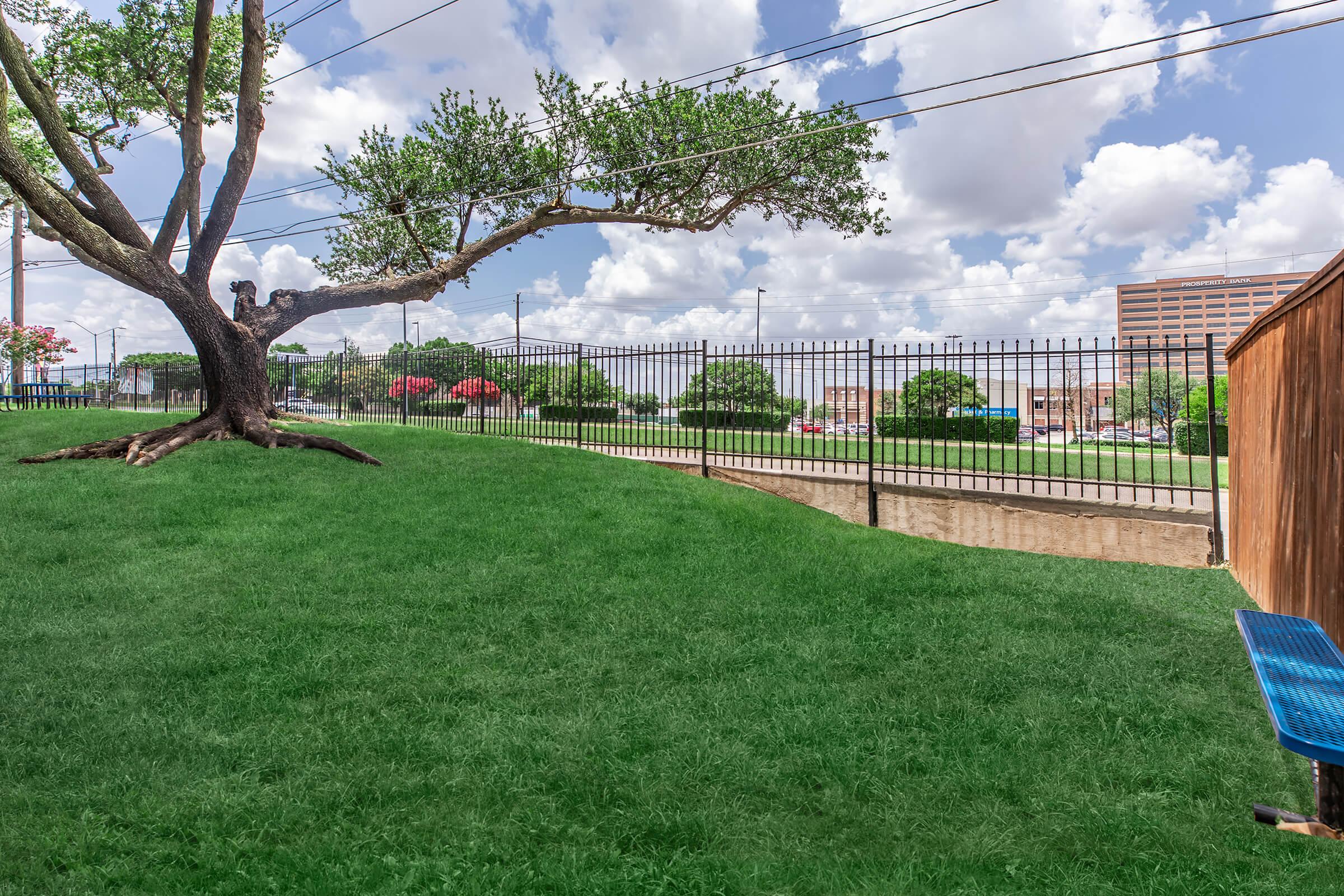 A green grassy area with a large tree leaning over, surrounded by a black metal fence. In the background, there are clouds in a blue sky and a few buildings visible. The scene is peaceful, with a well-maintained lawn creating a serene outdoor environment.