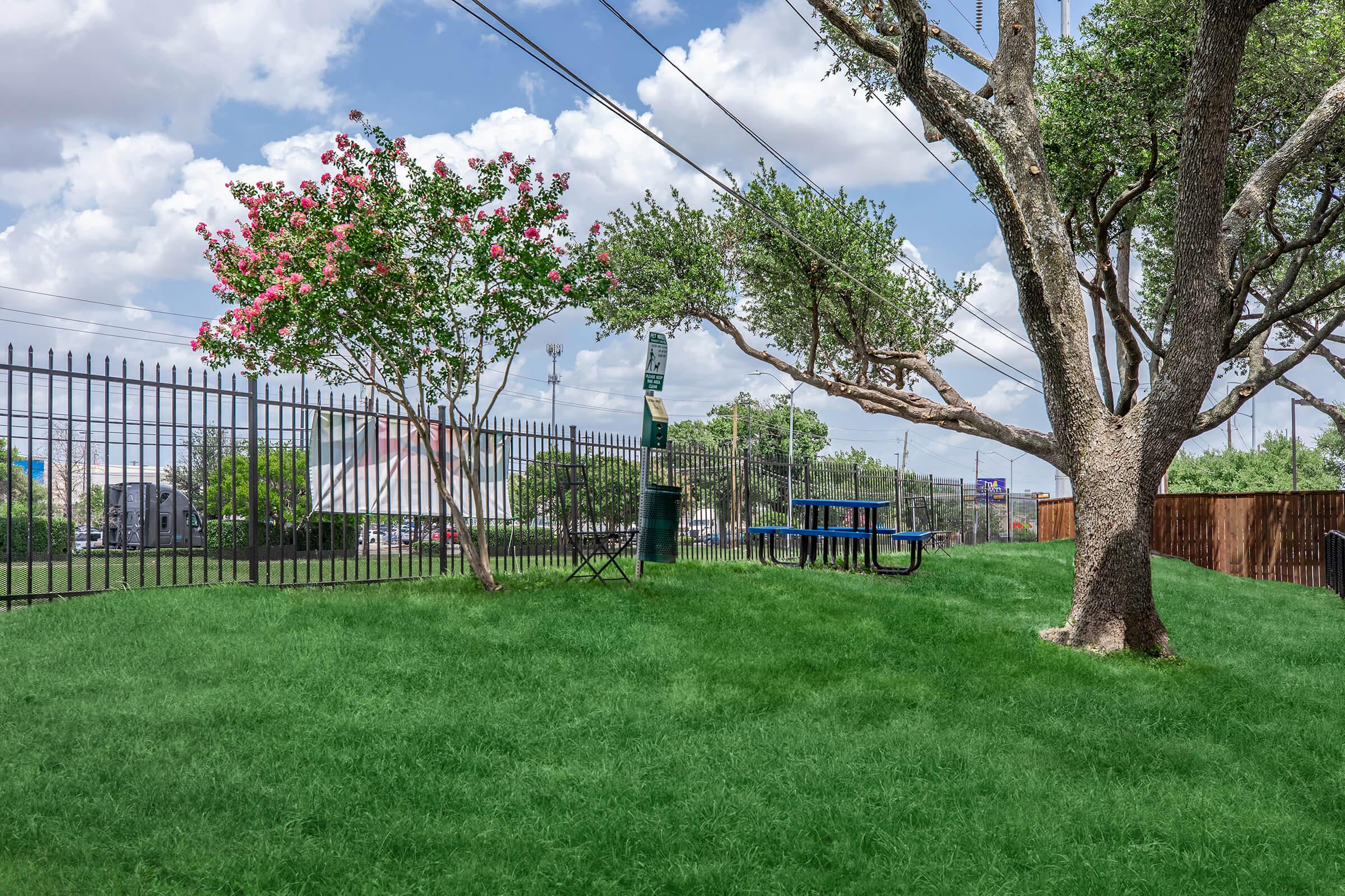 A grassy park area with a decorative tree and vibrant pink flowers, surrounded by a black metal fence. In the background, a picnic table and utility poles are visible under a blue sky with fluffy clouds.